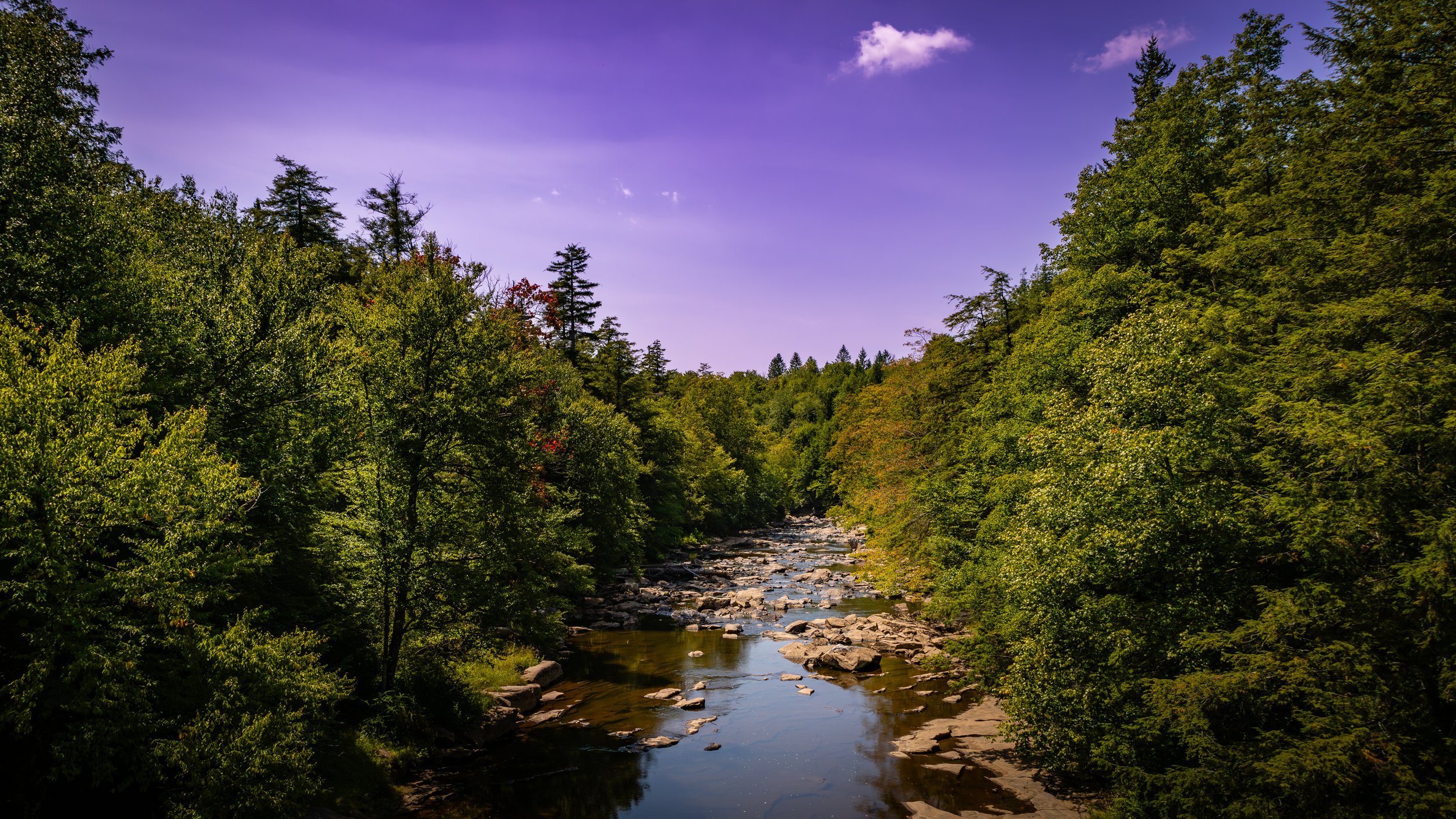 _MG_0622-Enhanced-NR (1).jpg