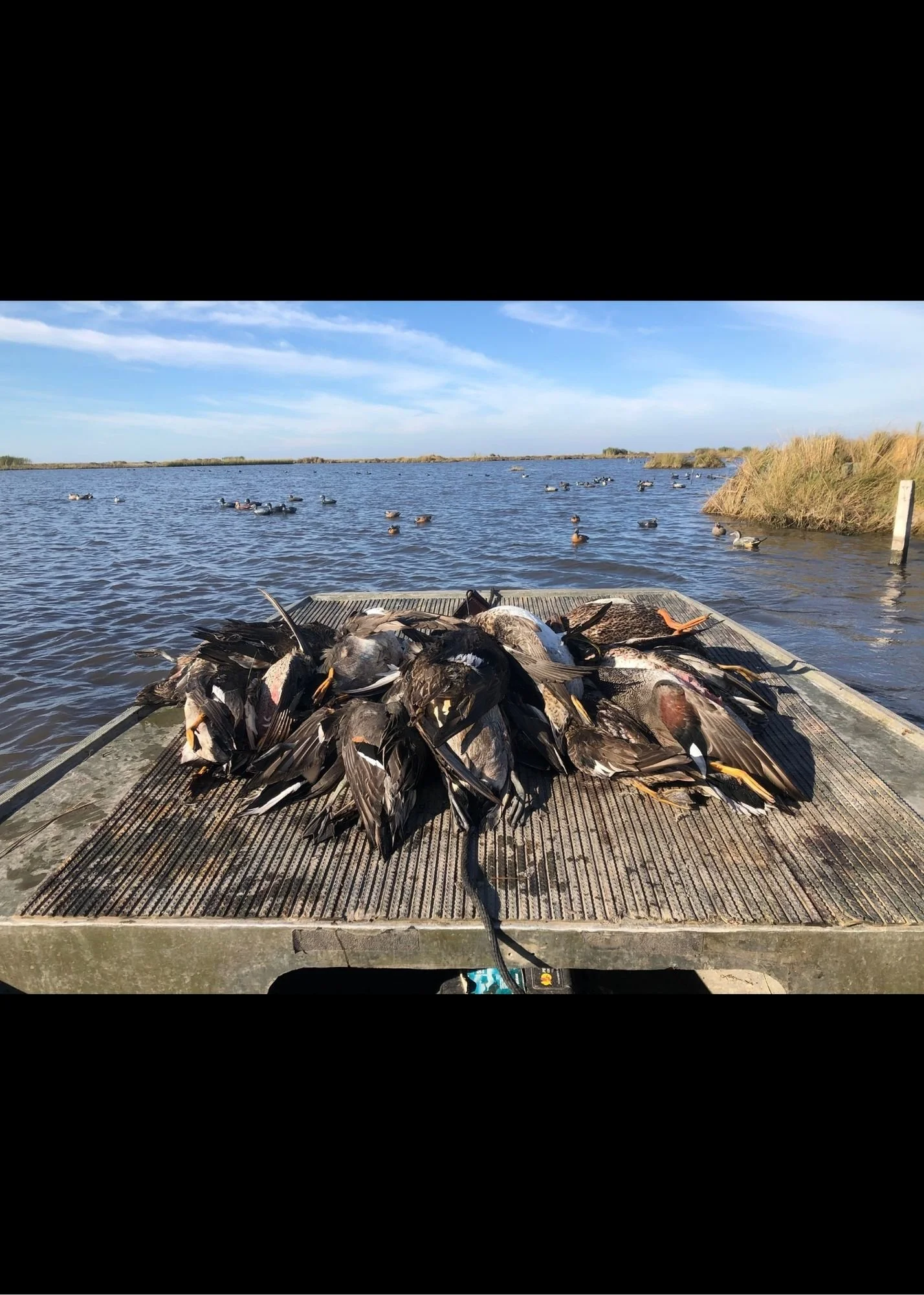 Bayou Duck Hunt Adventure