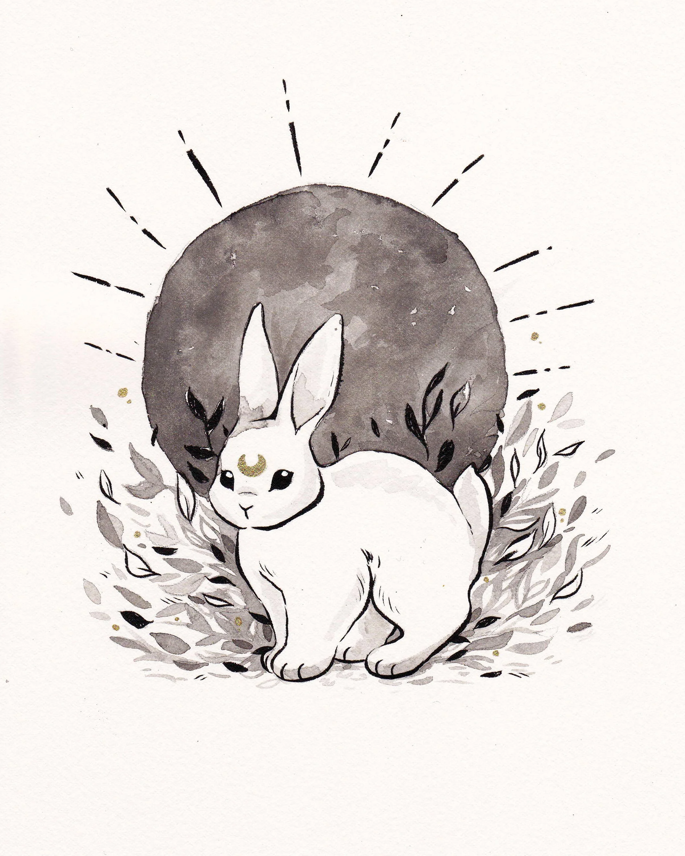 Moon Rabbit Series