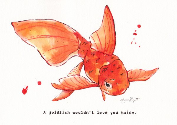 Goldfish