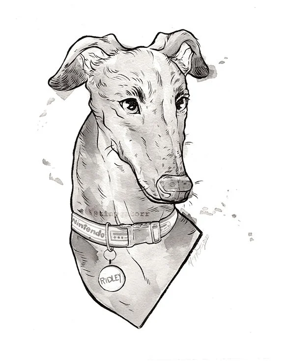 Ridley the Greyhound