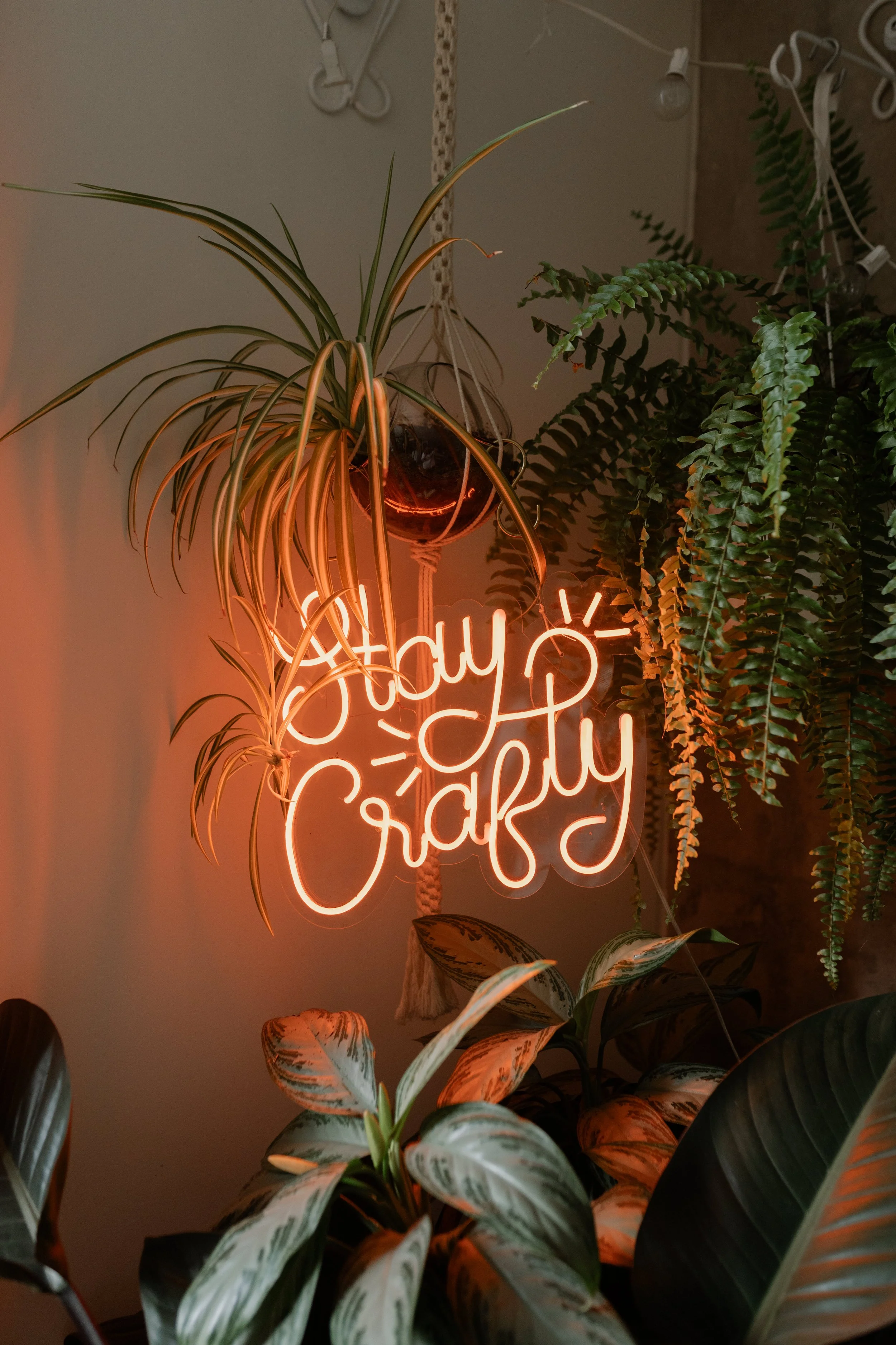 Vulpes Haus - Mafe Stay Crafty-46.jpg