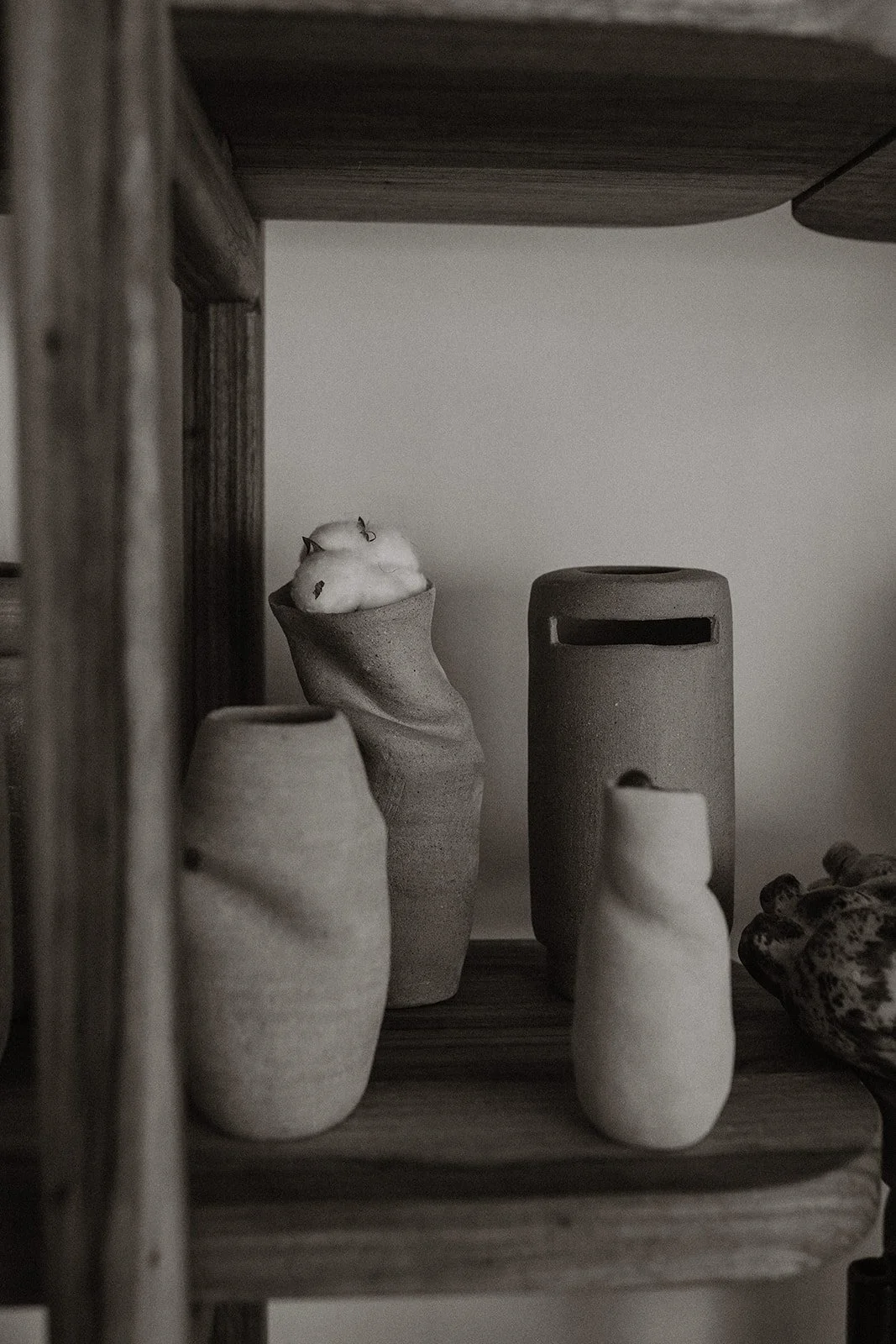 Vulpes Haus - Mirron-8.jpg