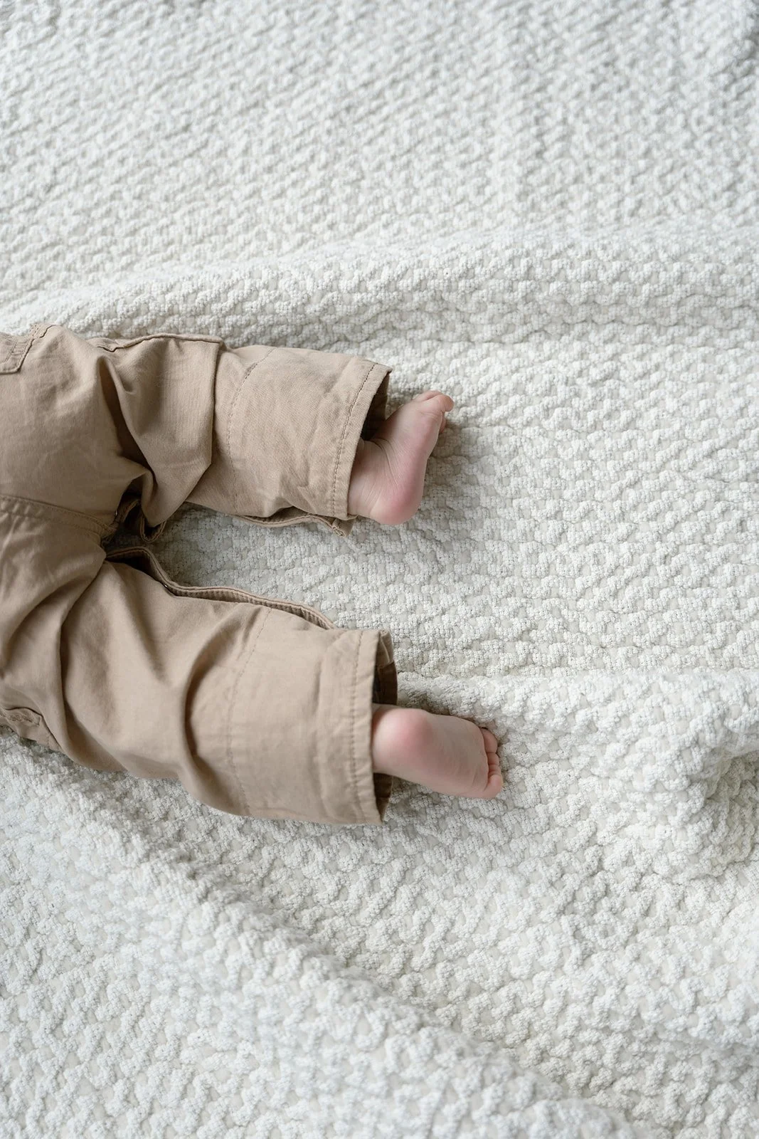 Vulpes Haus V&J+M-28_websize.jpg