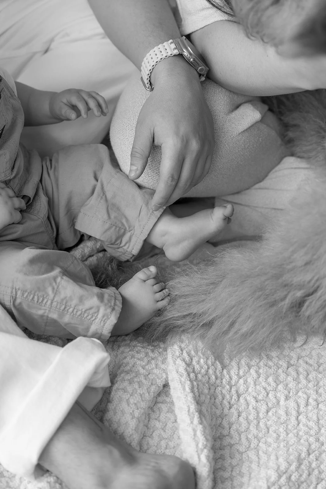 Vulpes Haus V&J+M-51_websize.jpg