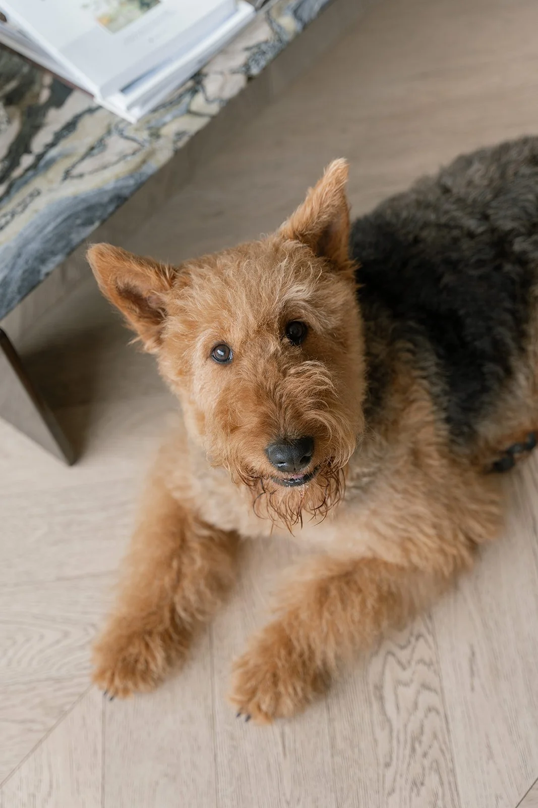 Vulpes Haus V&J+M-62_websize.jpg