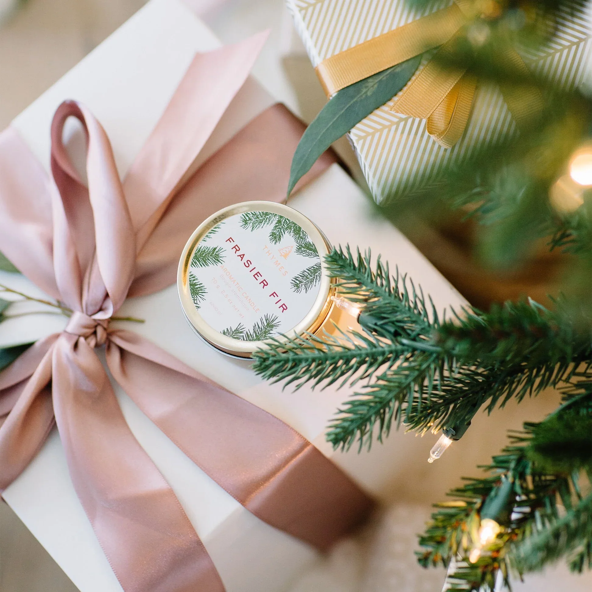 thymes candle travel tin frasier fir scent
