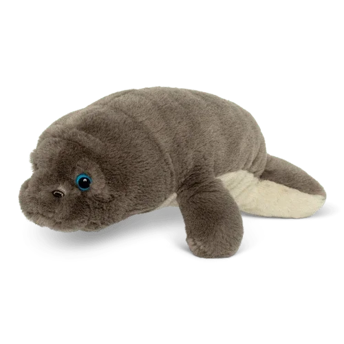 fahlo manatee side