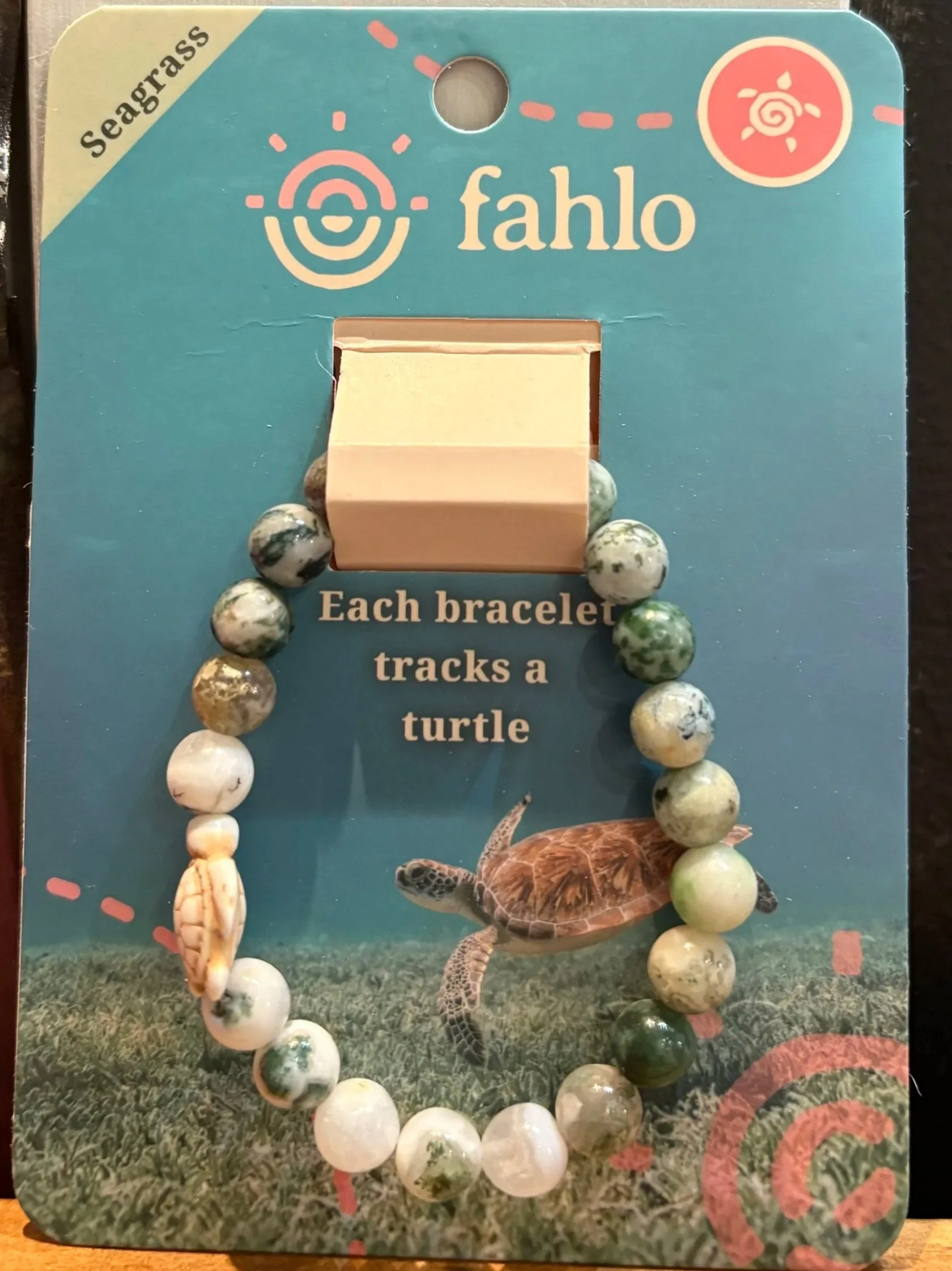 fahlo turtle seagrass
