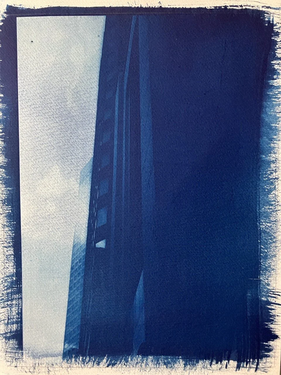 The Blue moments: My Journey with Cyanotype