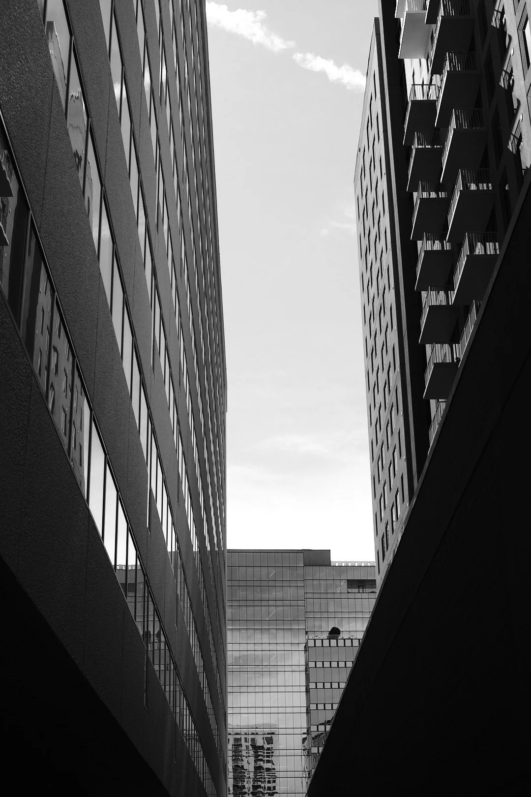 DSCF2628.jpeg