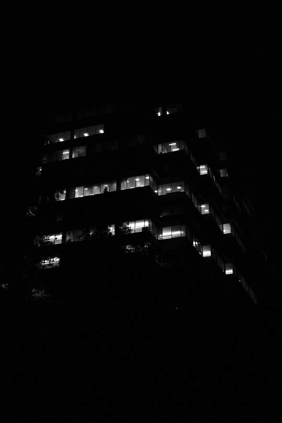 DSCF1433.jpg