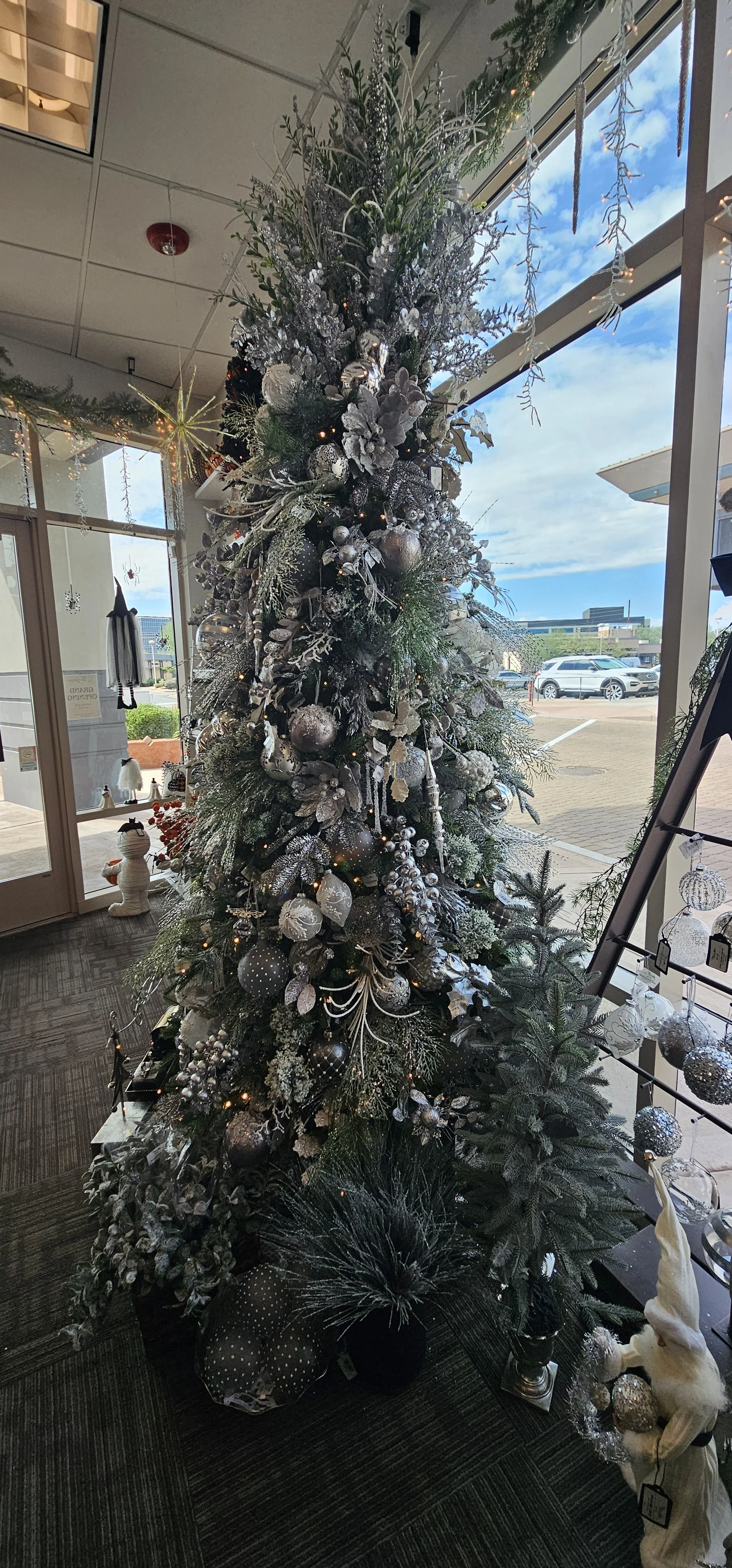 20251008_123628.jpg