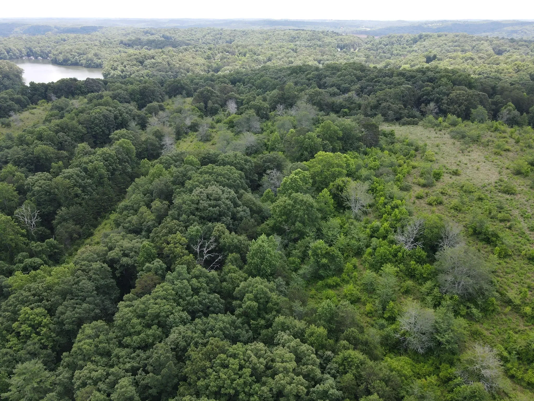 Aerial View of Undeveloped Property (2022)
