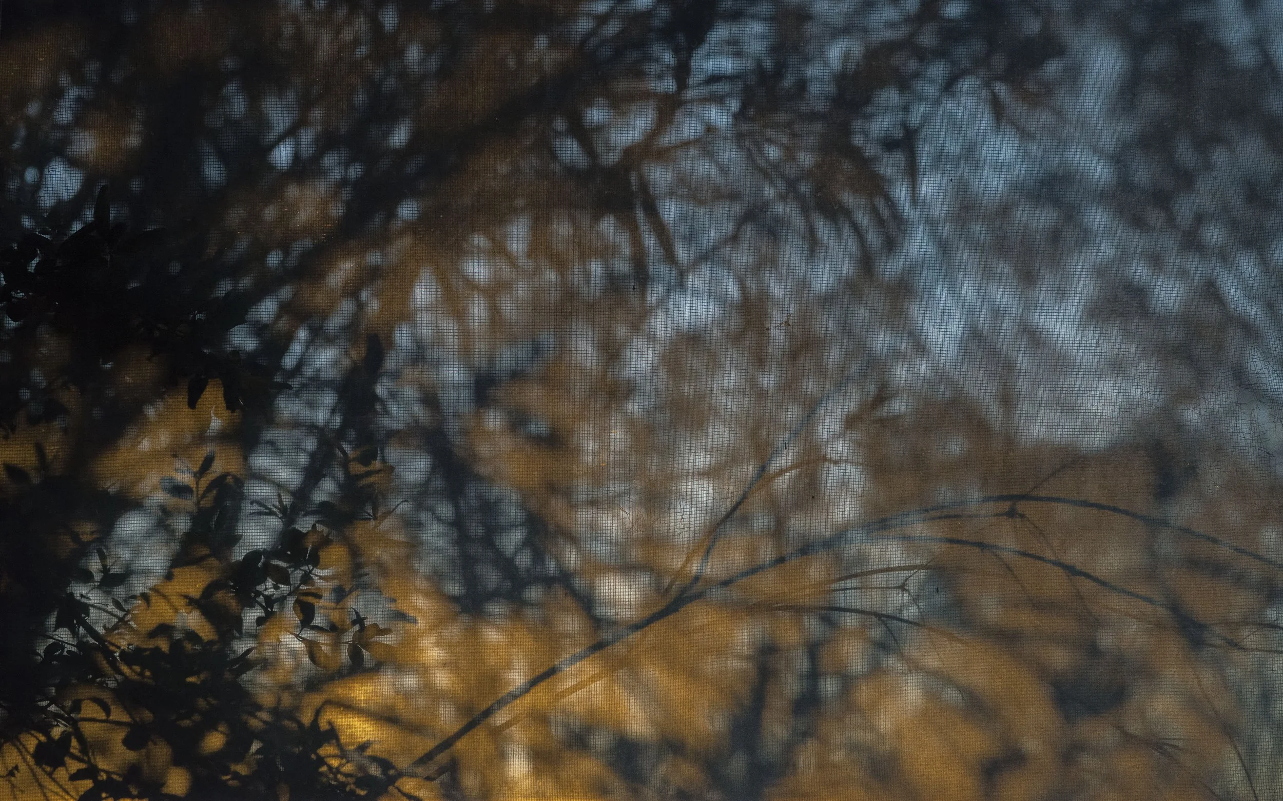 SARAH_DUGAN_IM3_80X50CM sm.jpg