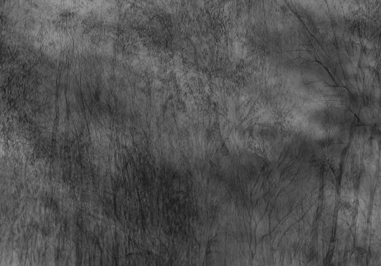 Final days of my solo at @landslide__ 
The Gallery will be open 10-4 Saturday and Sunday 🌞

&lsquo;Have you ever thought of putting in a stag?&rsquo; Charcoal on paper, digital photograph, archival pigment print, 47 x 34.8 cm