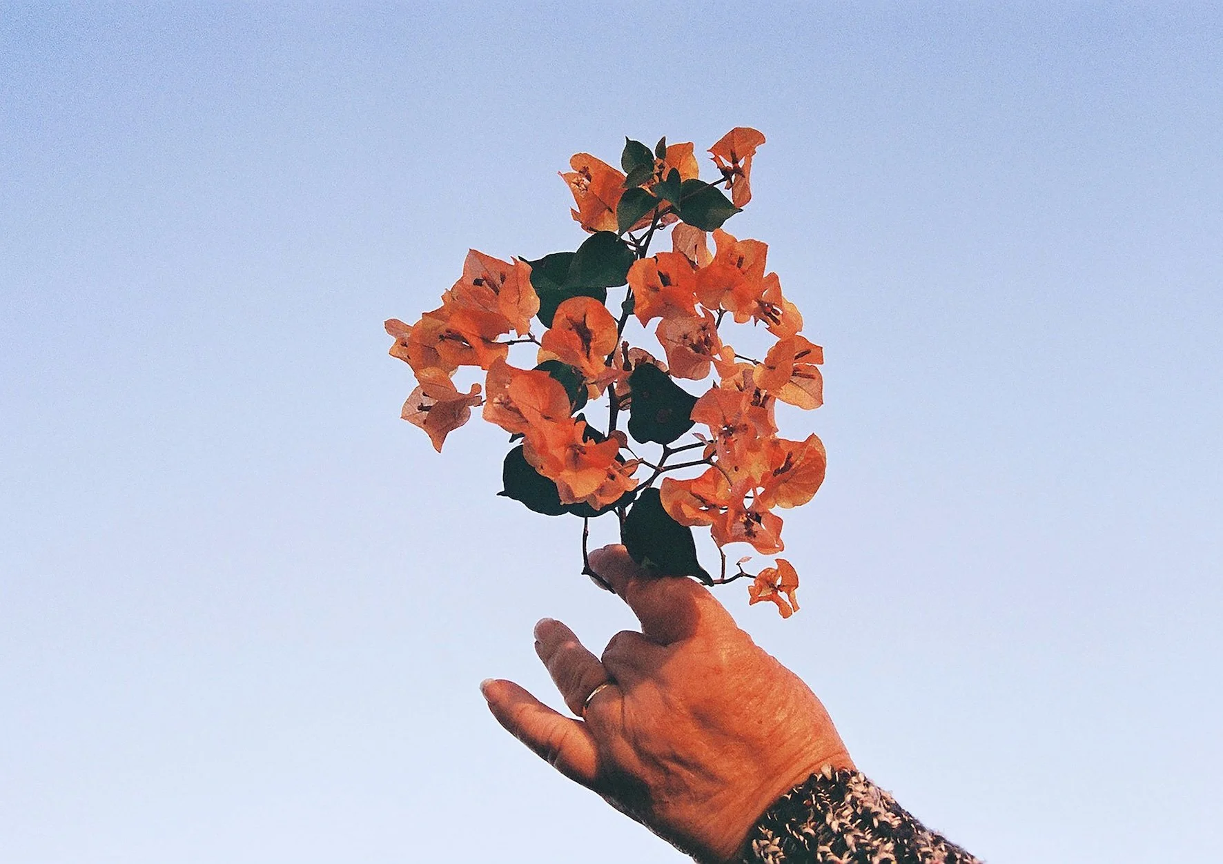 She builds sanctuaries from the dust, she makes that sanctuary a home, 2025