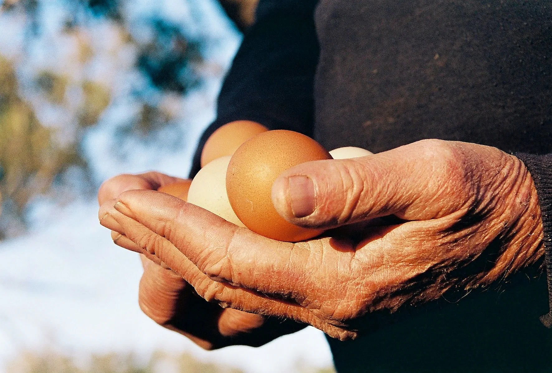 Body and mind, your story is one of strength, it is mapped on the backs of your hands