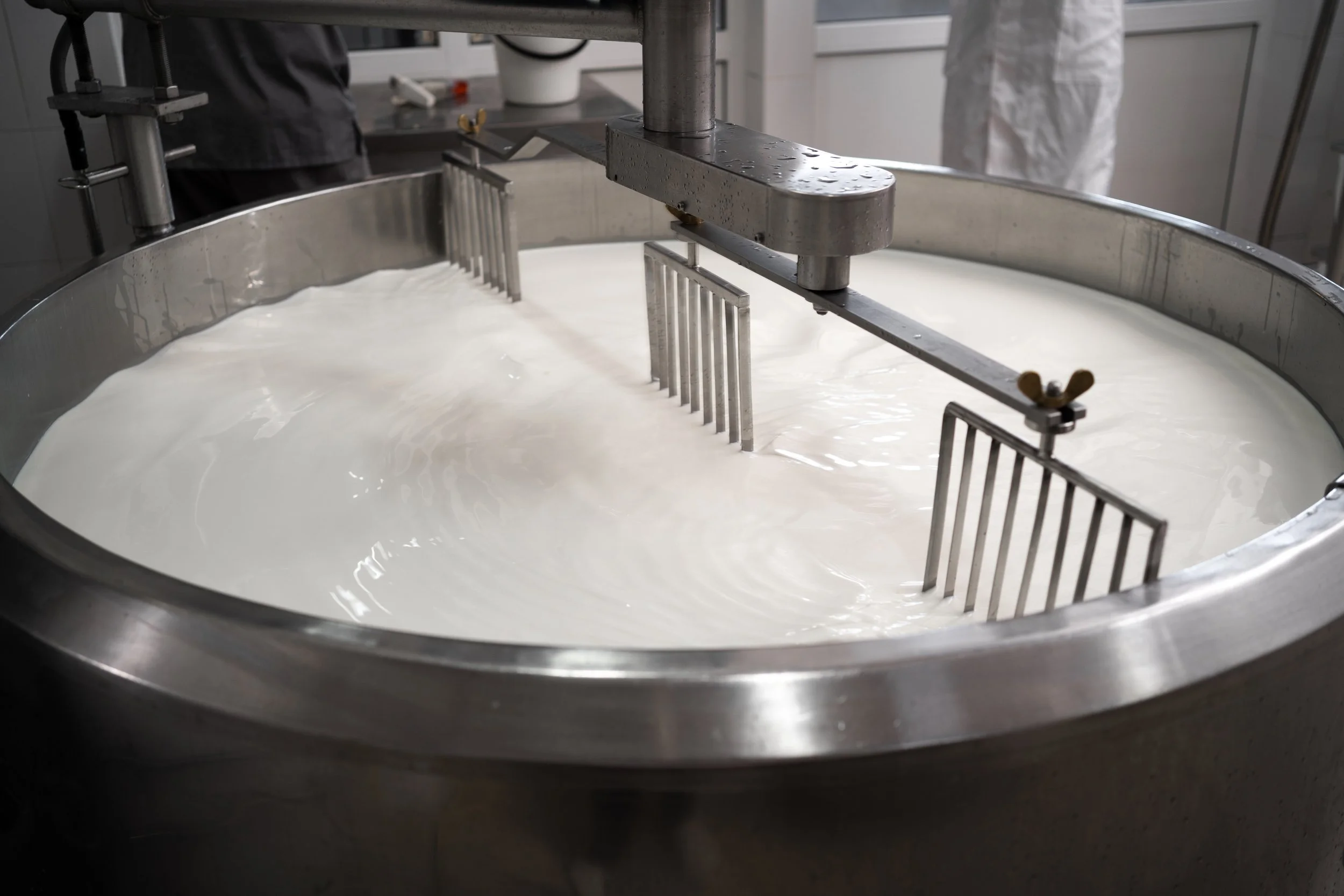 Large stainless steel vat of milk with metal paddles and a horizontal blade stirring the milk, likely in a cheese or dairy processing facility.