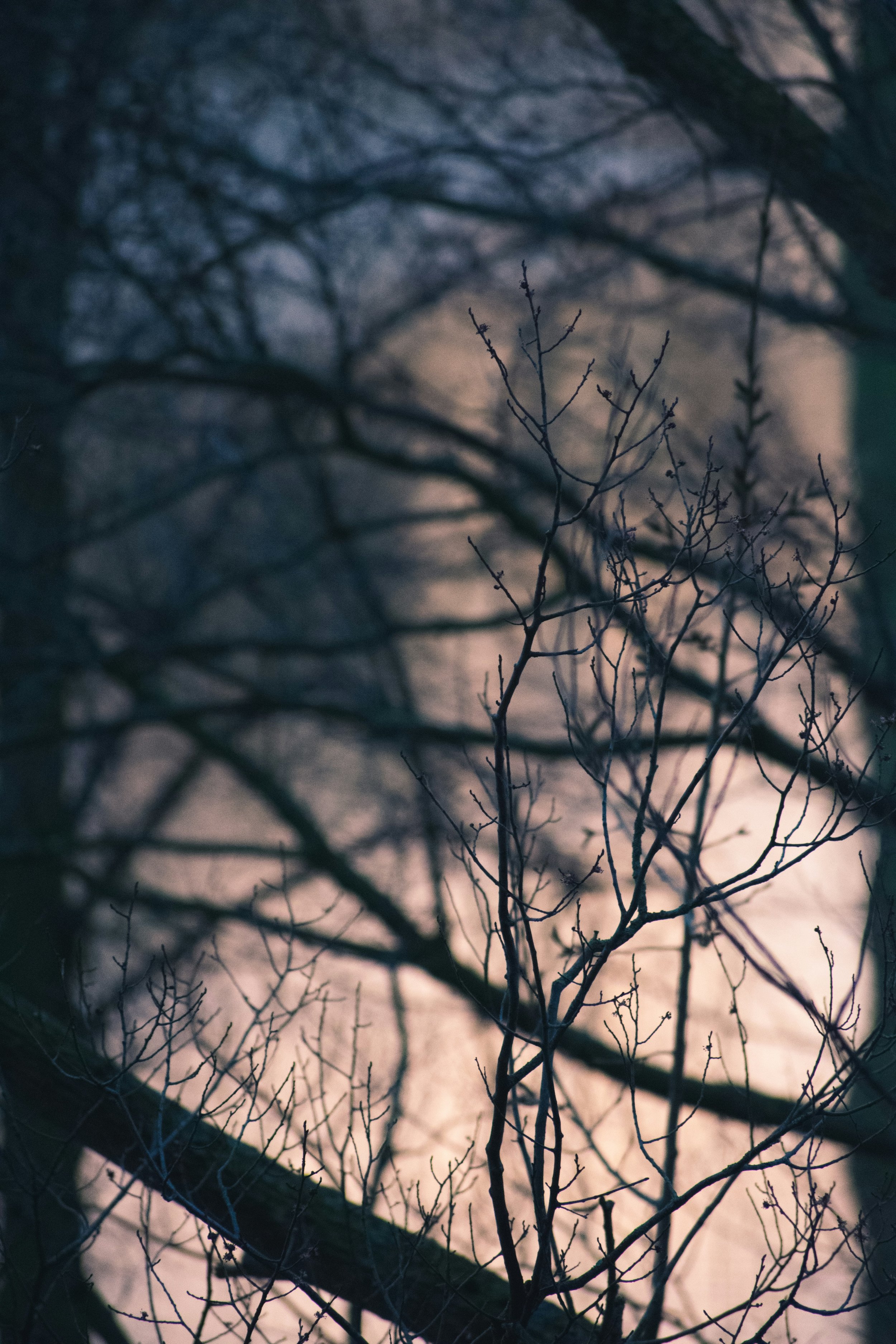 At Dusk