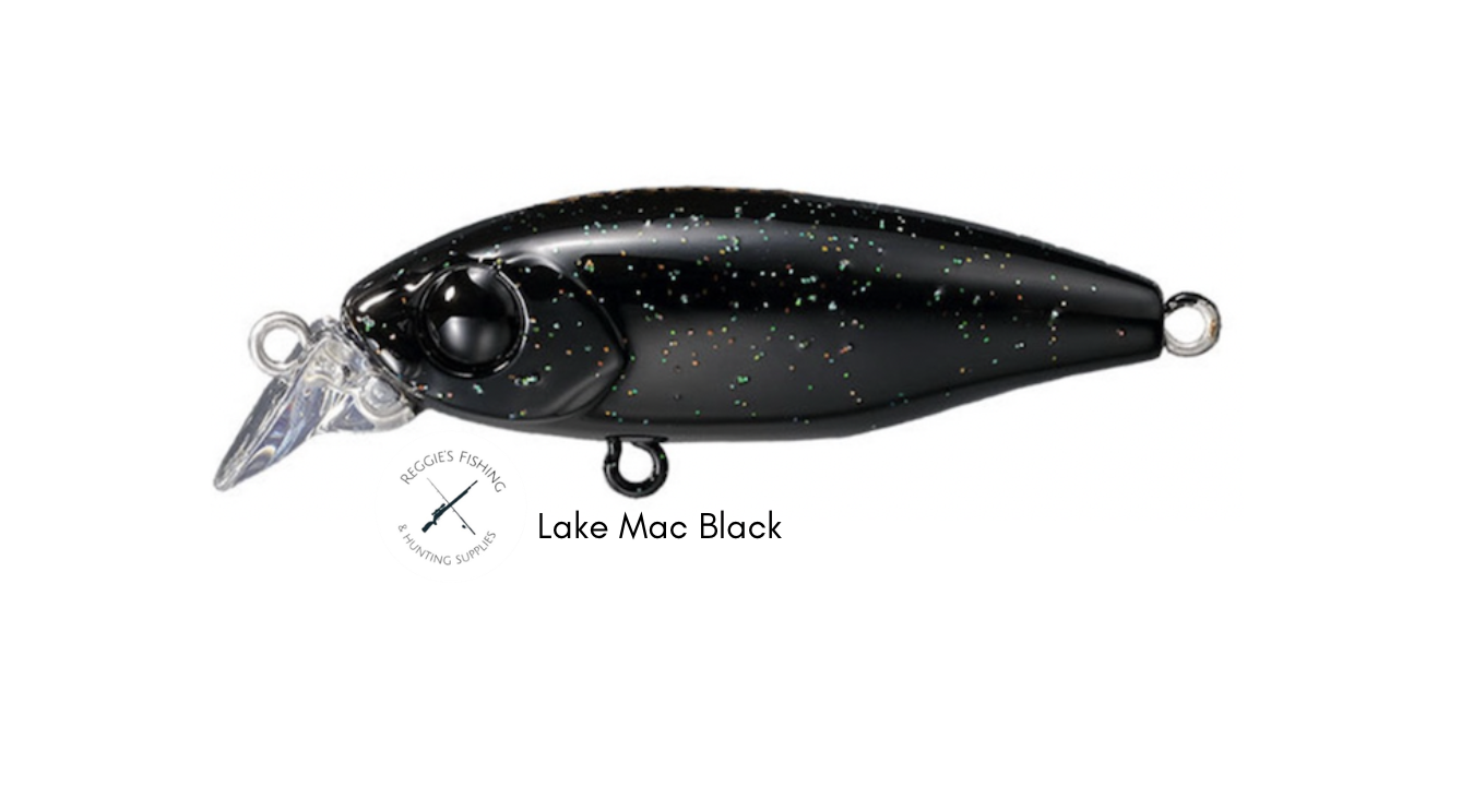 Screenshot 2026-03-15 at 8.46.55 pm.png