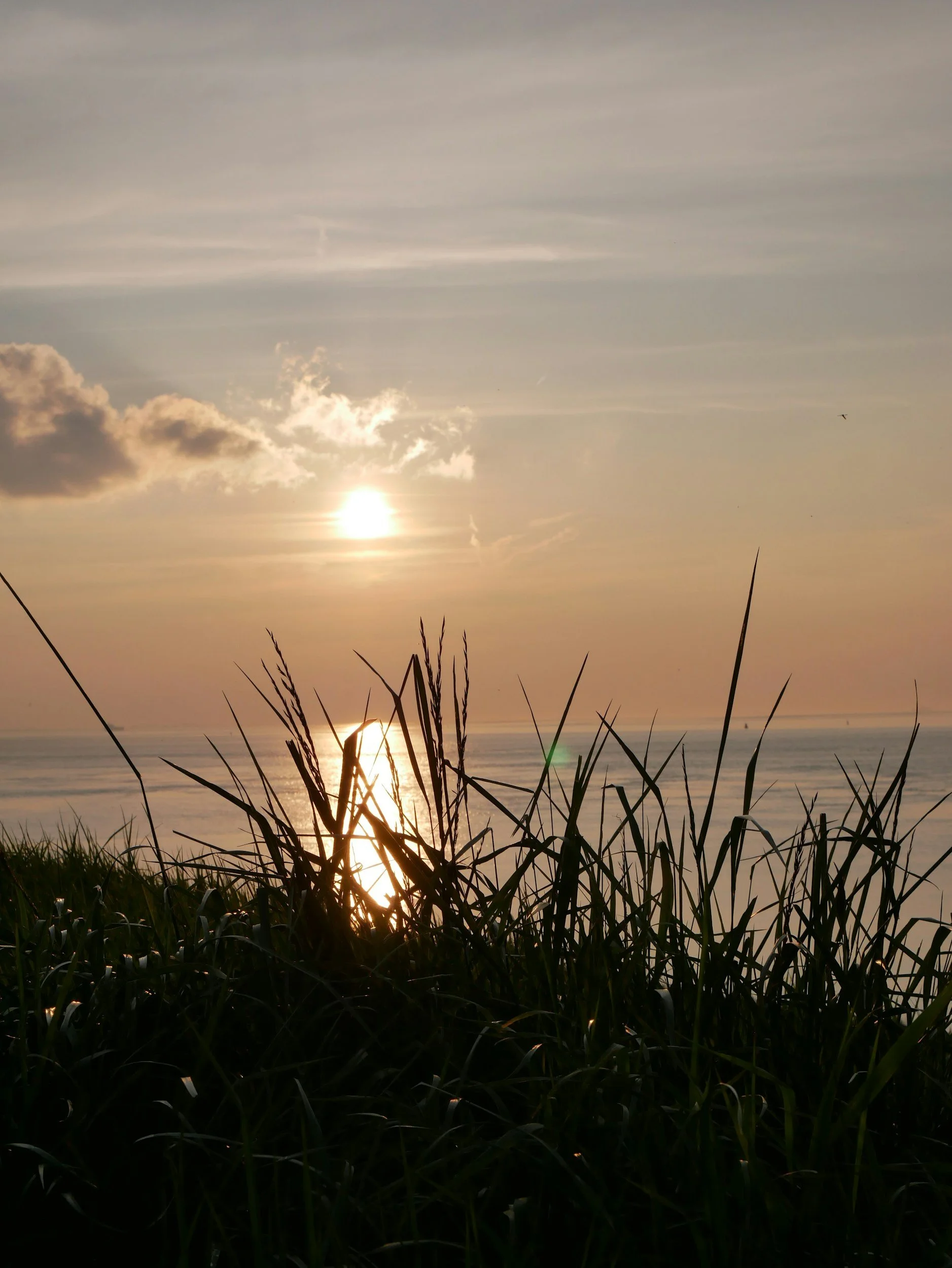 St. Andrews Sea Grass Field Trip