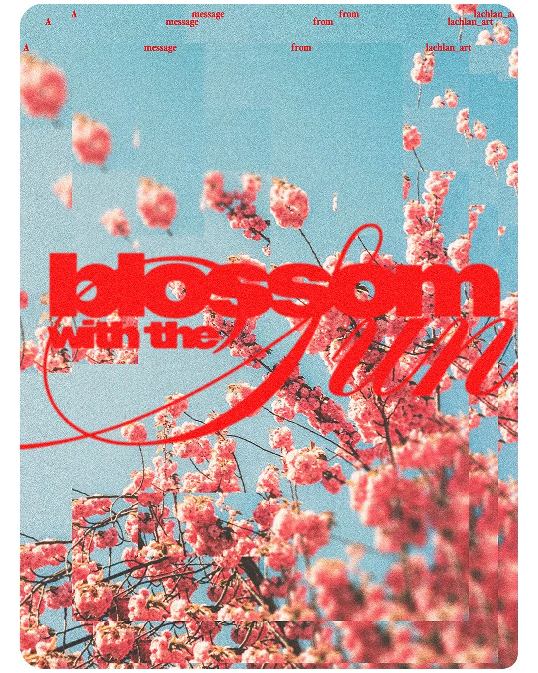 Blossom_Instagram.jpg