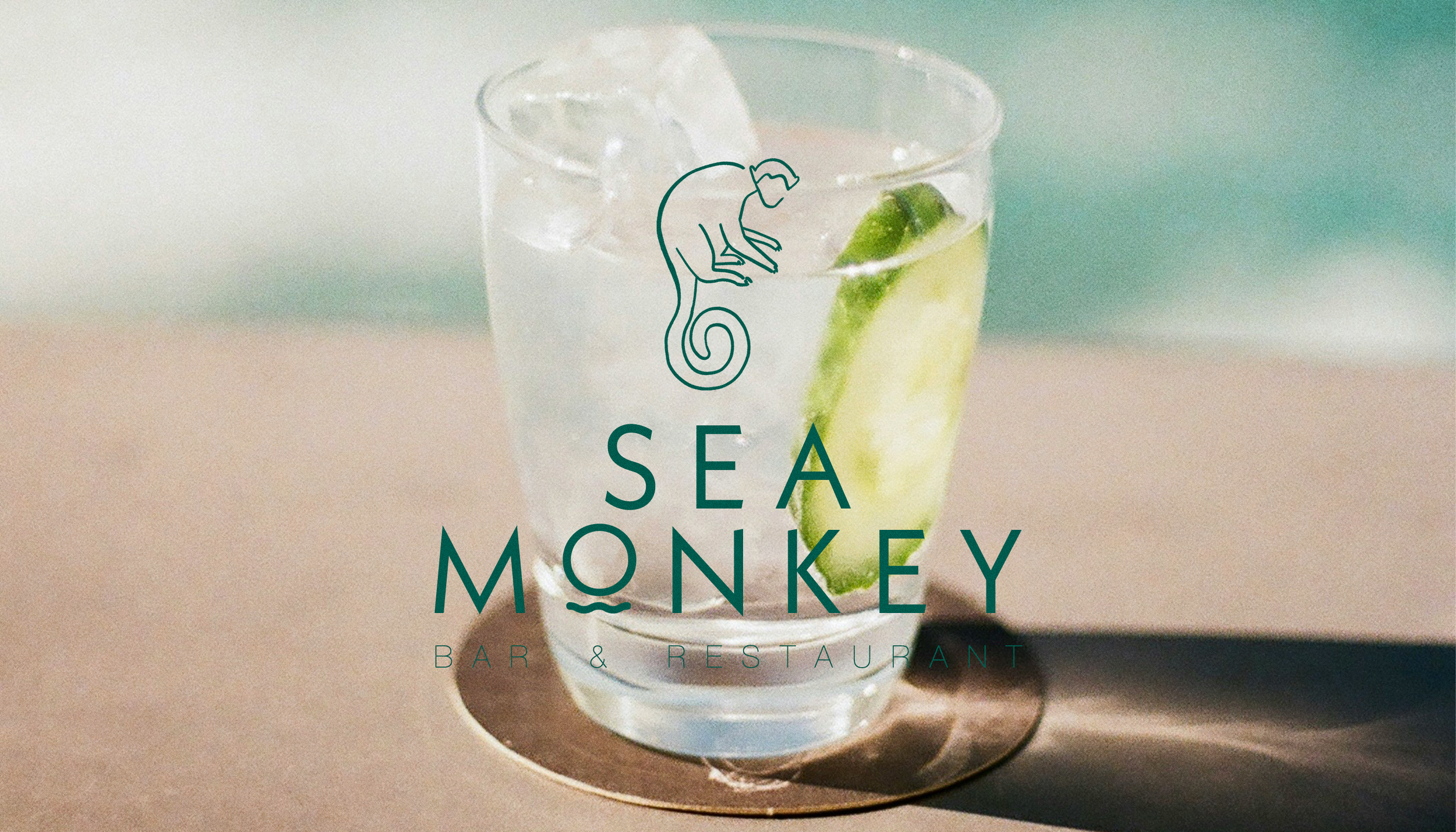SEA MONKEY