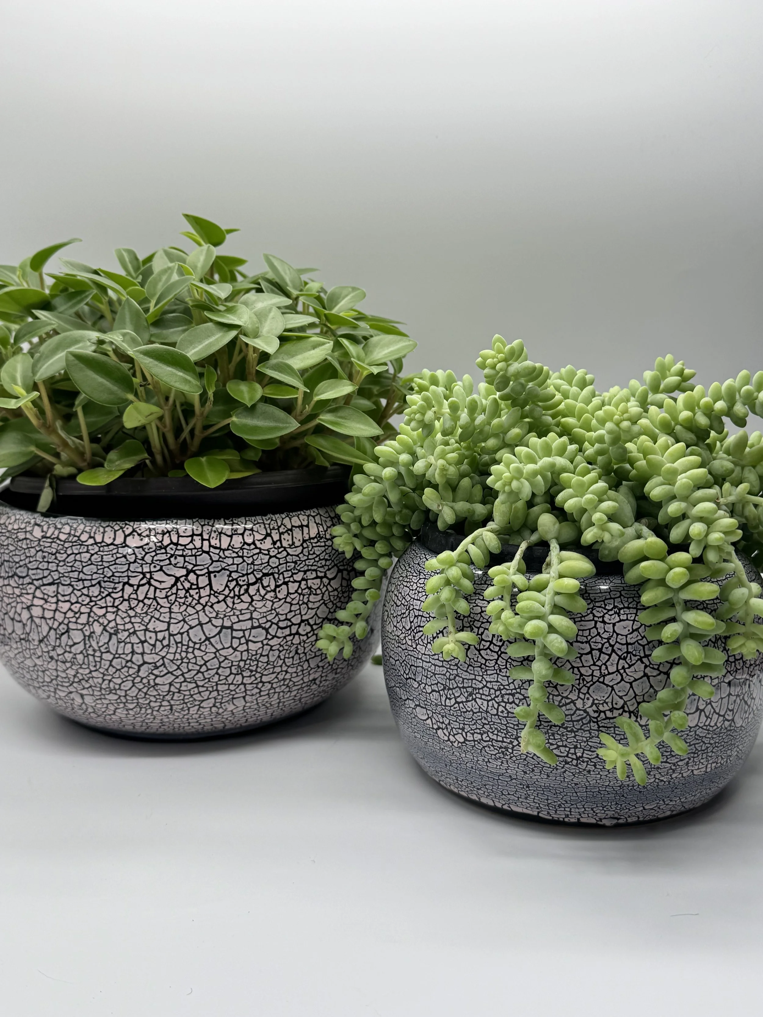 🌸 Pink Crackle Planter Set (2)