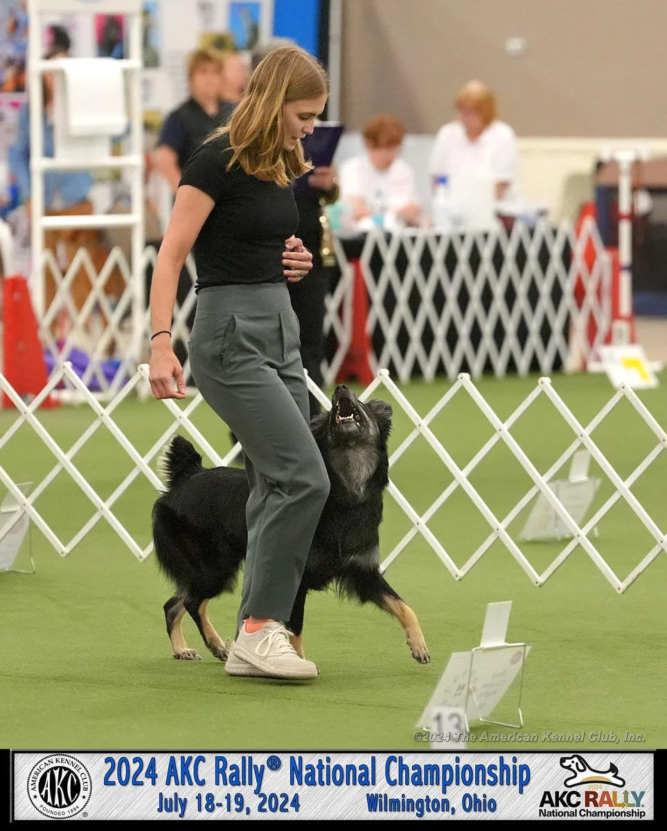 Northwest Arkansas Kennel Club