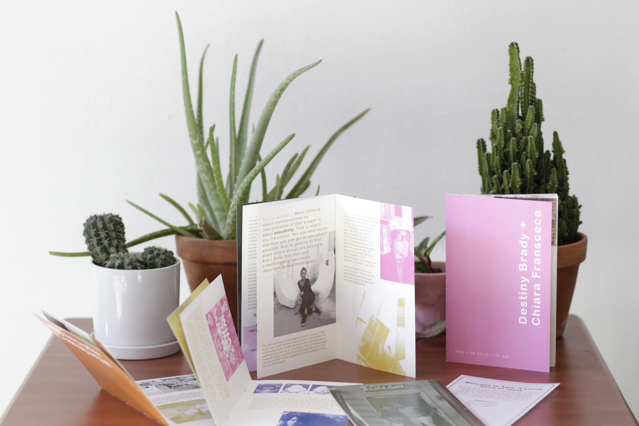 Sala Zine Doc_10.JPG