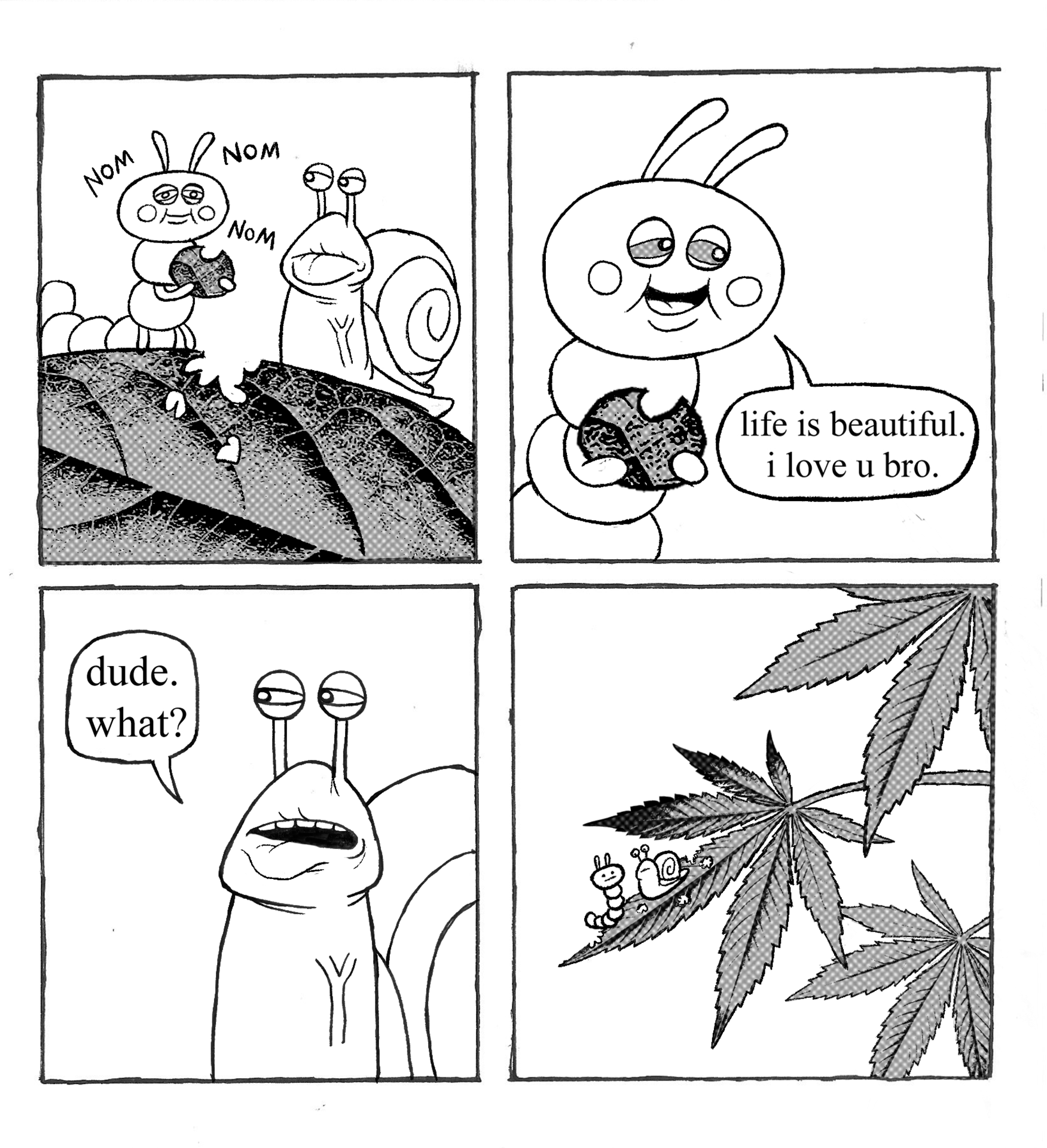 5.png