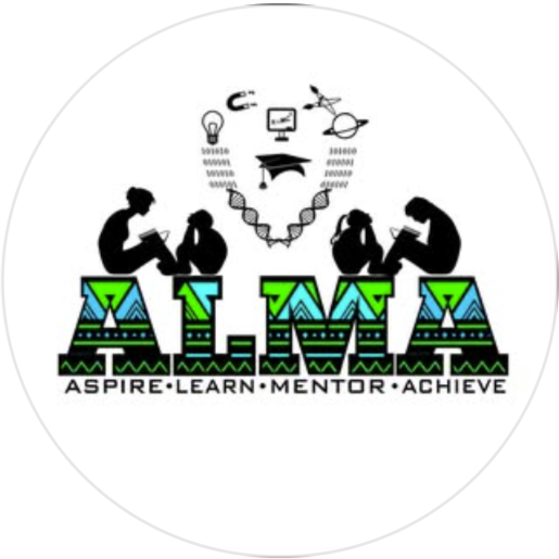 ALMA Site