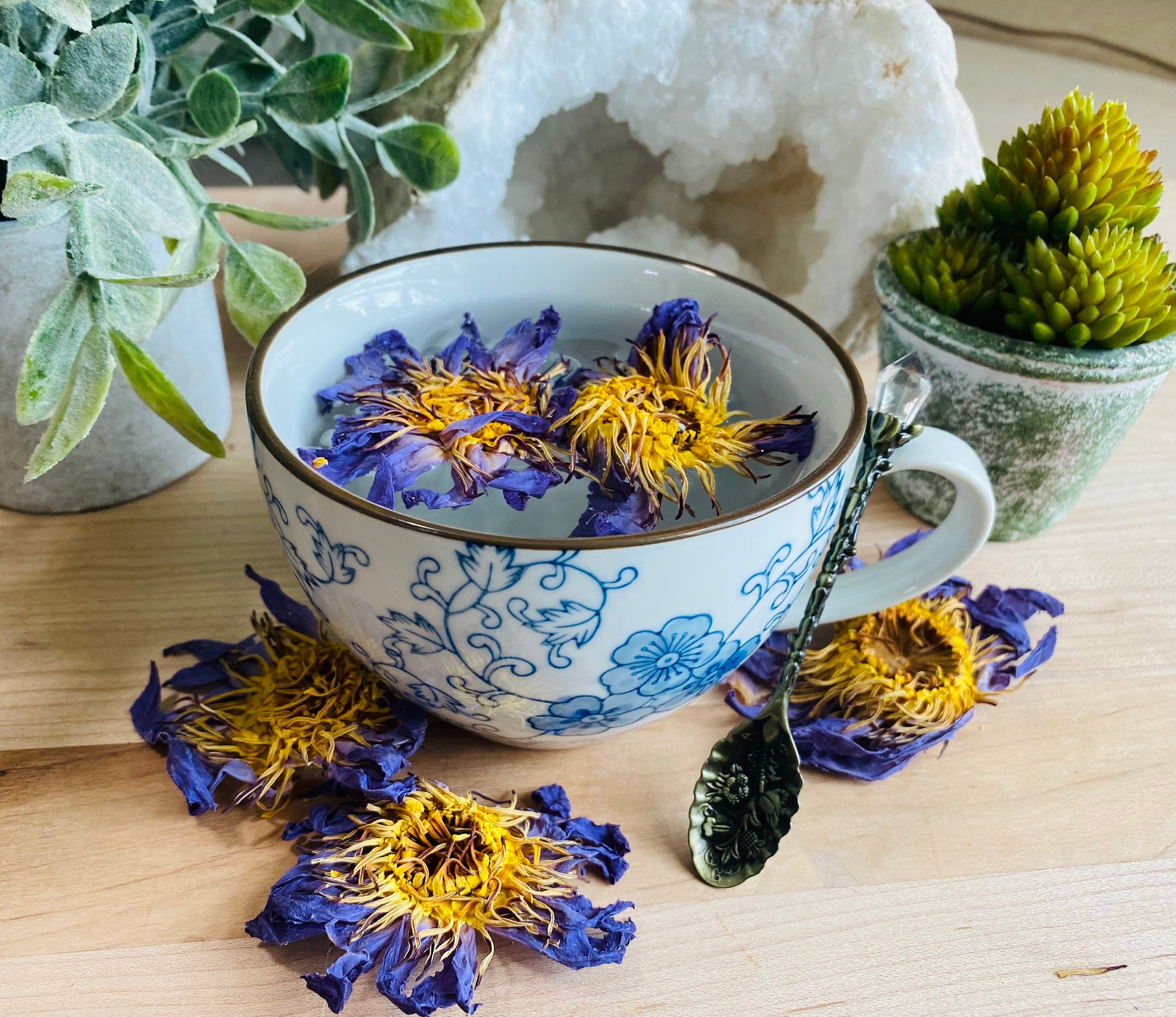 https://i.etsystatic.com/41890918/r/il/d50a9f/6221388657/il_fullxfull.6221388657_l8rd.jpg