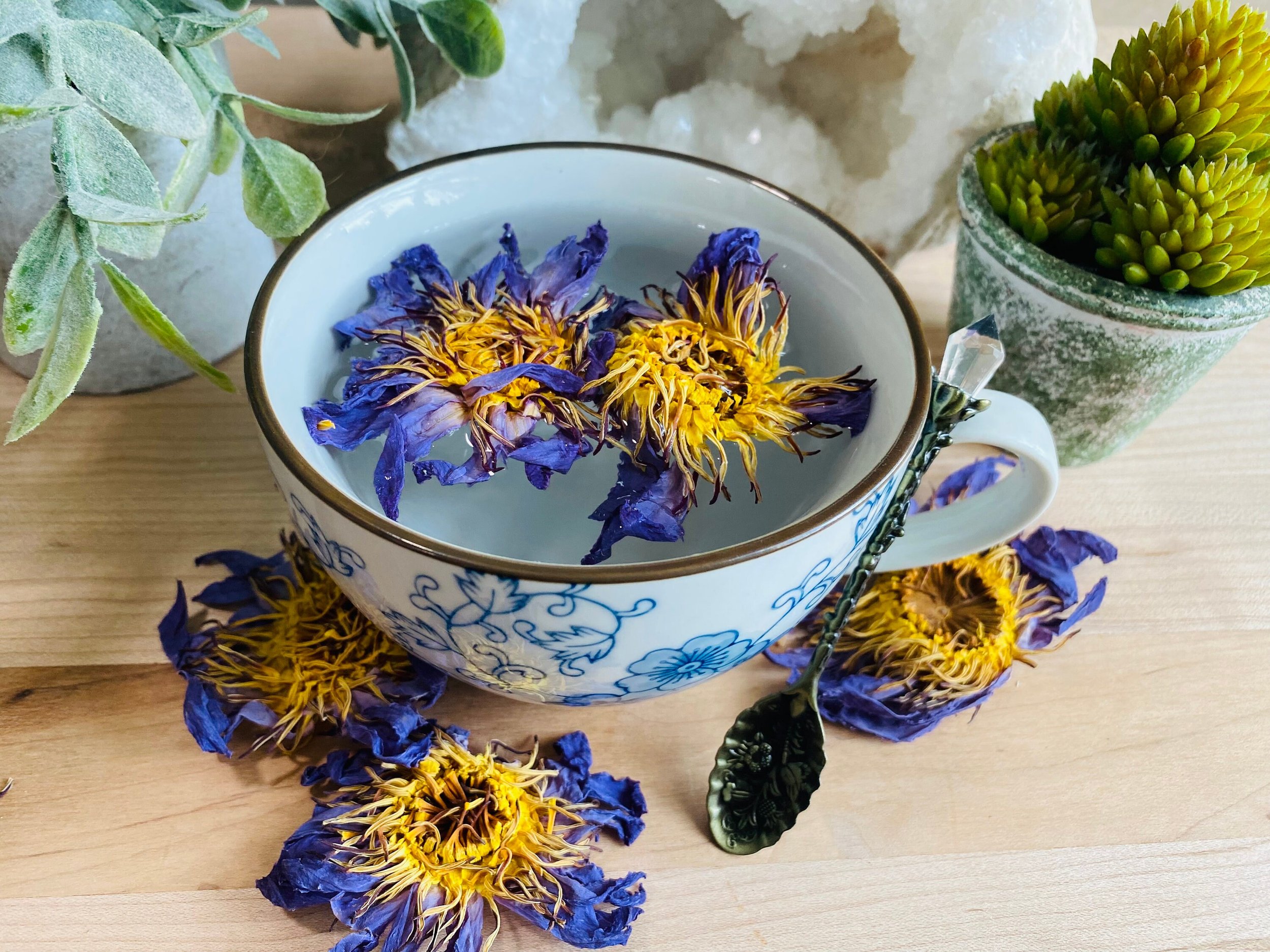 https://i.etsystatic.com/41890918/r/il/995ac1/6173326322/il_fullxfull.6173326322_6o1h.jpg