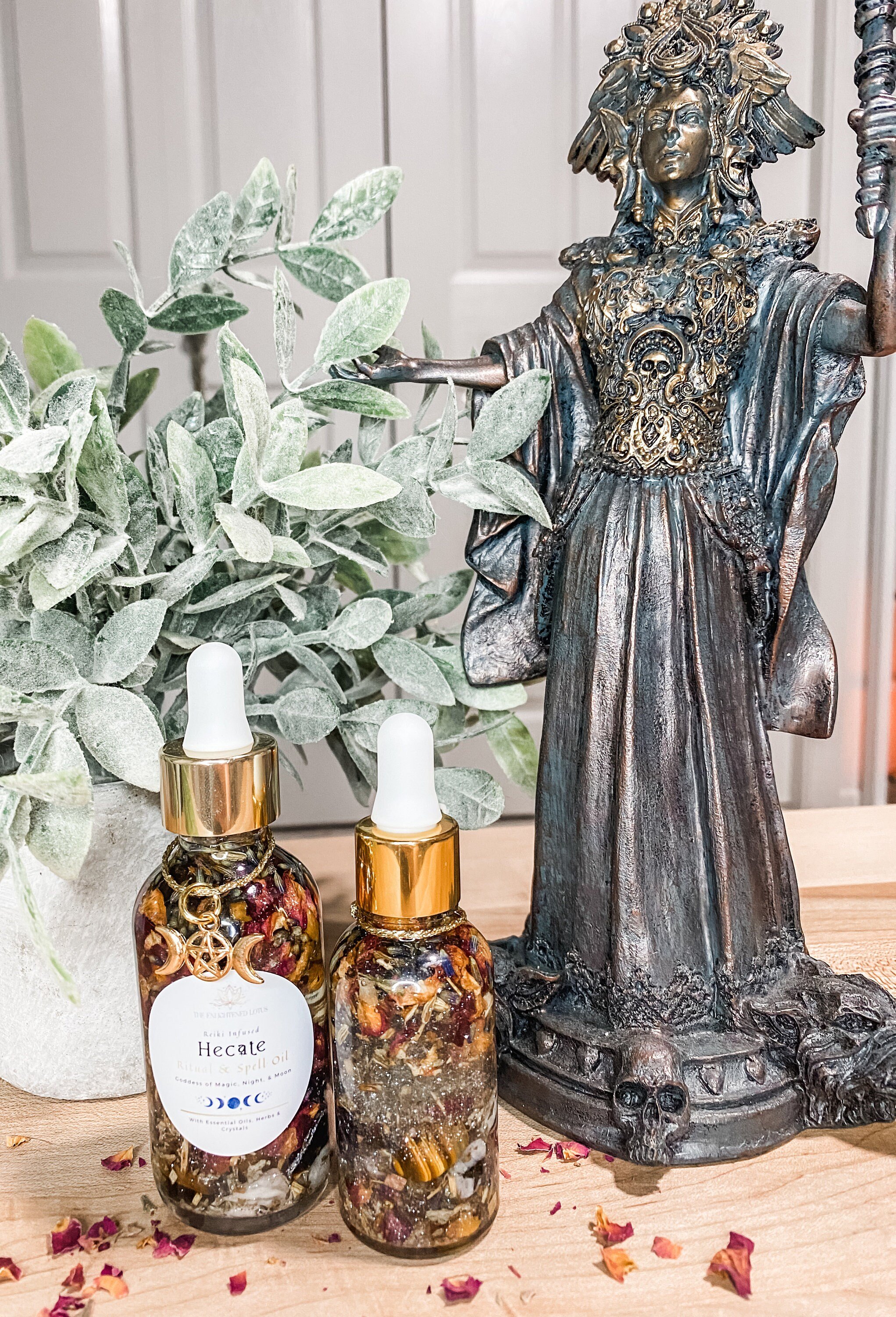 https://i.etsystatic.com/41890918/r/il/54114b/5861152991/il_fullxfull.5861152991_audd.jpg