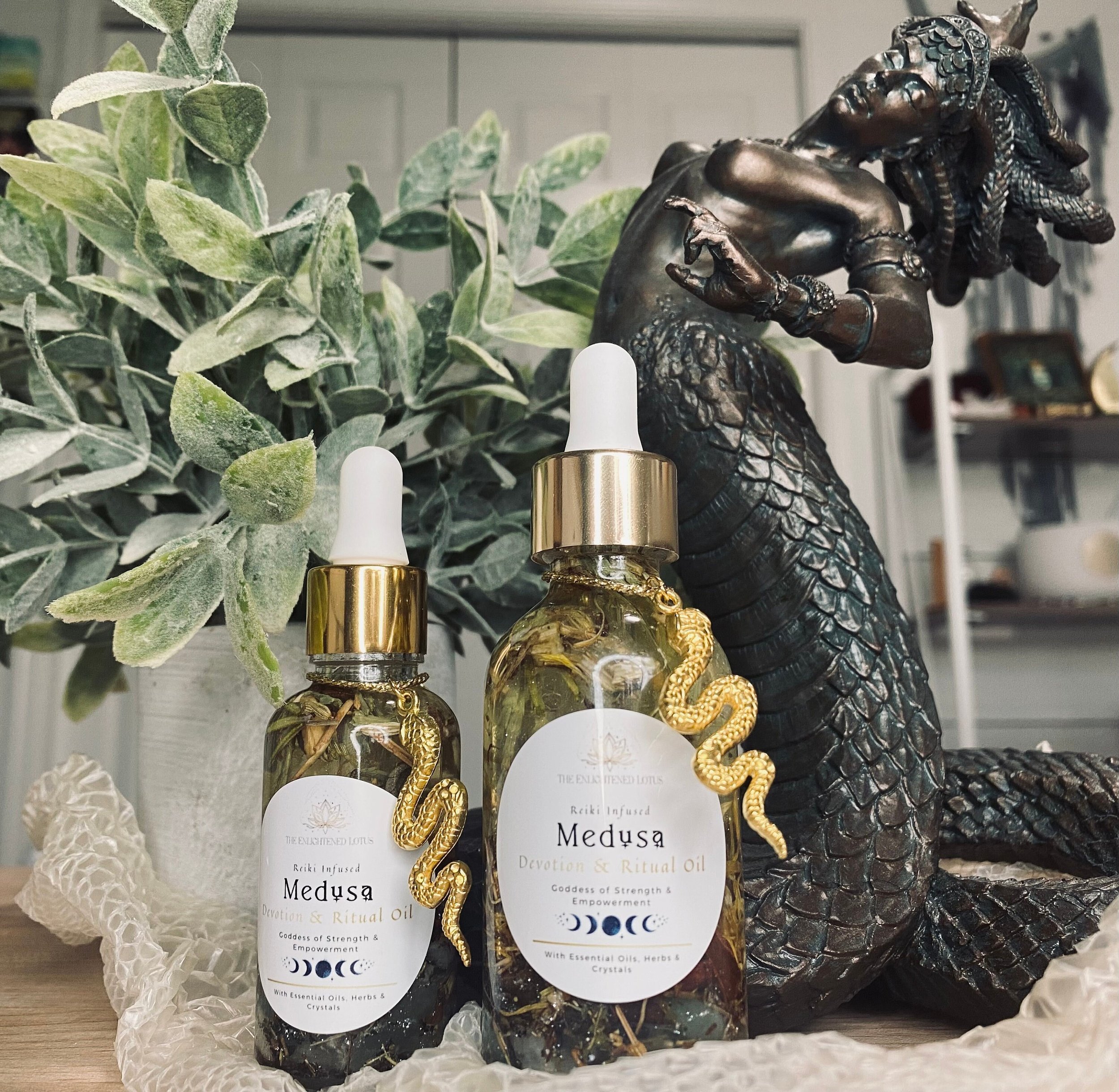 https://i.etsystatic.com/41890918/r/il/6316f3/5831589152/il_fullxfull.5831589152_acns.jpg