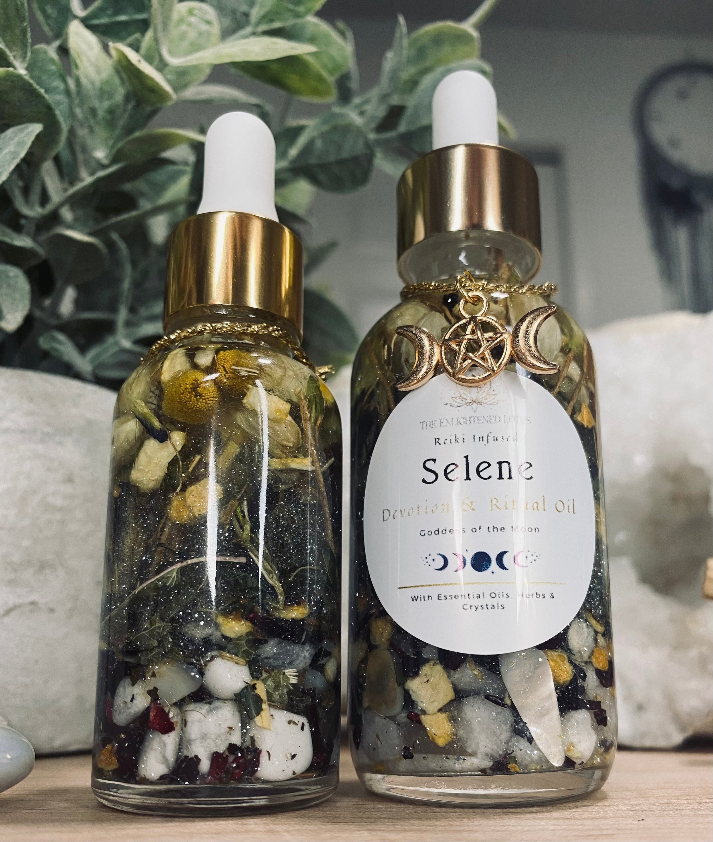 https://i.etsystatic.com/41890918/r/il/3df2e2/5831558698/il_fullxfull.5831558698_qf35.jpg