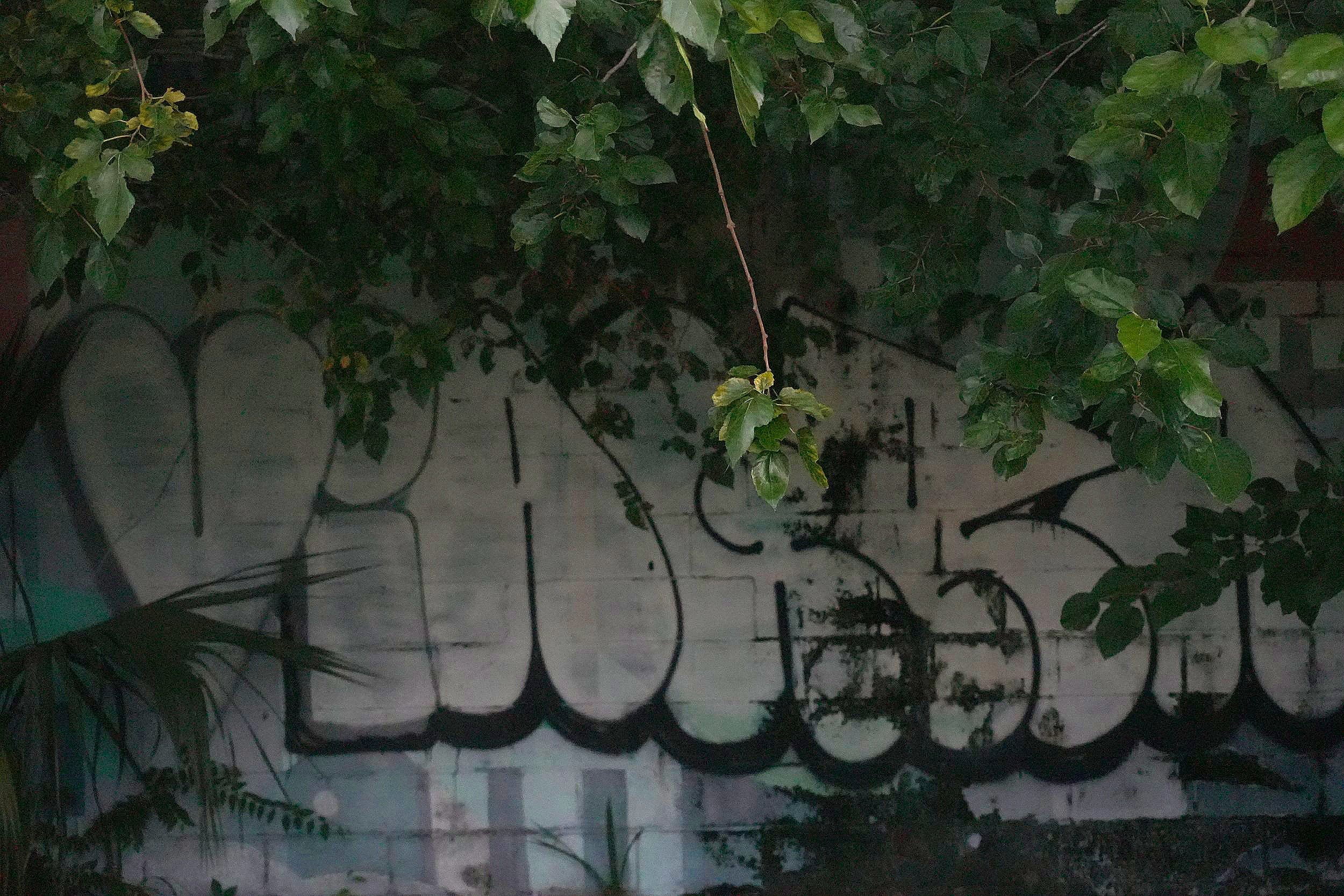 DSC07979.jpg