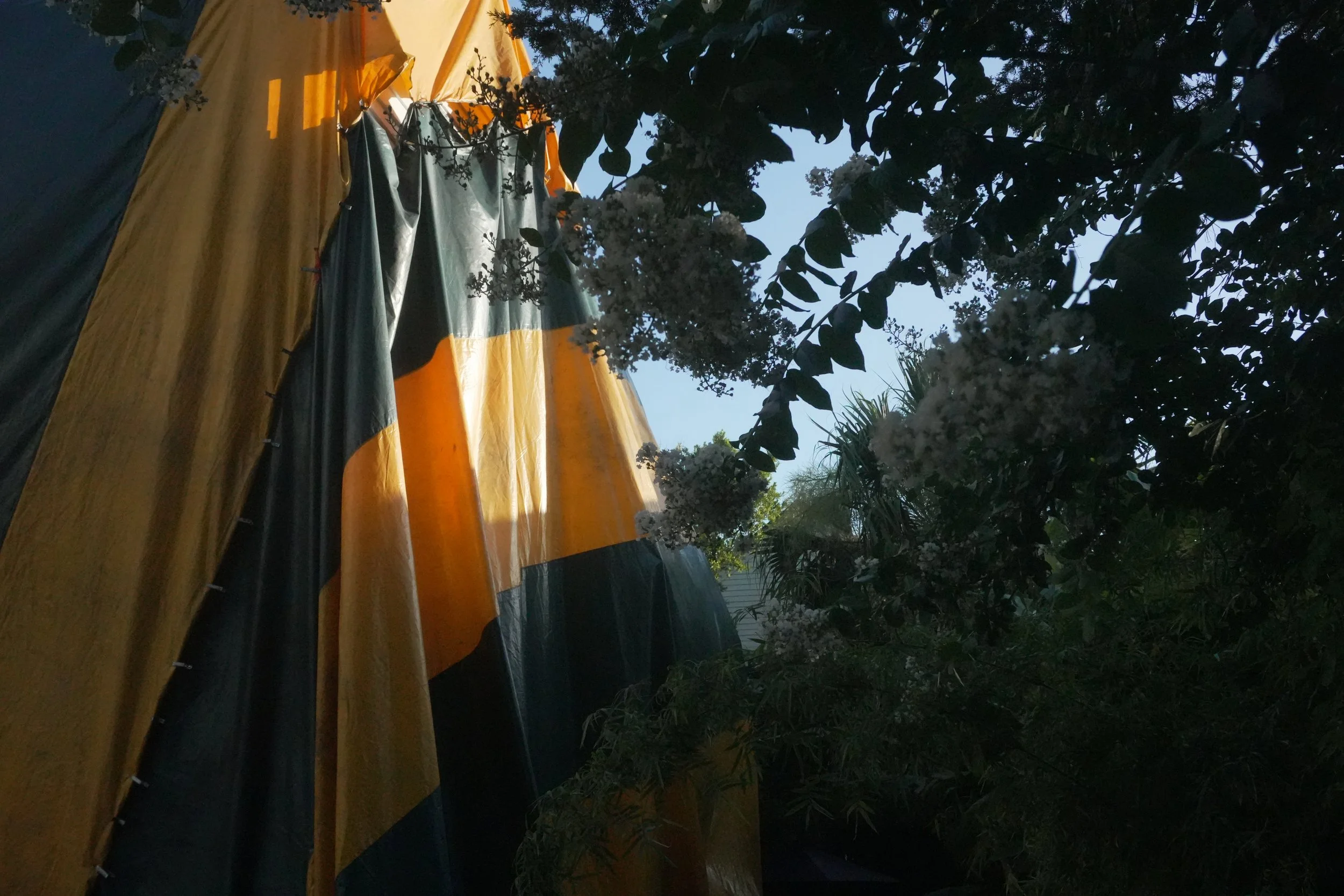 "Untitled" Two Dollar Bill Studios