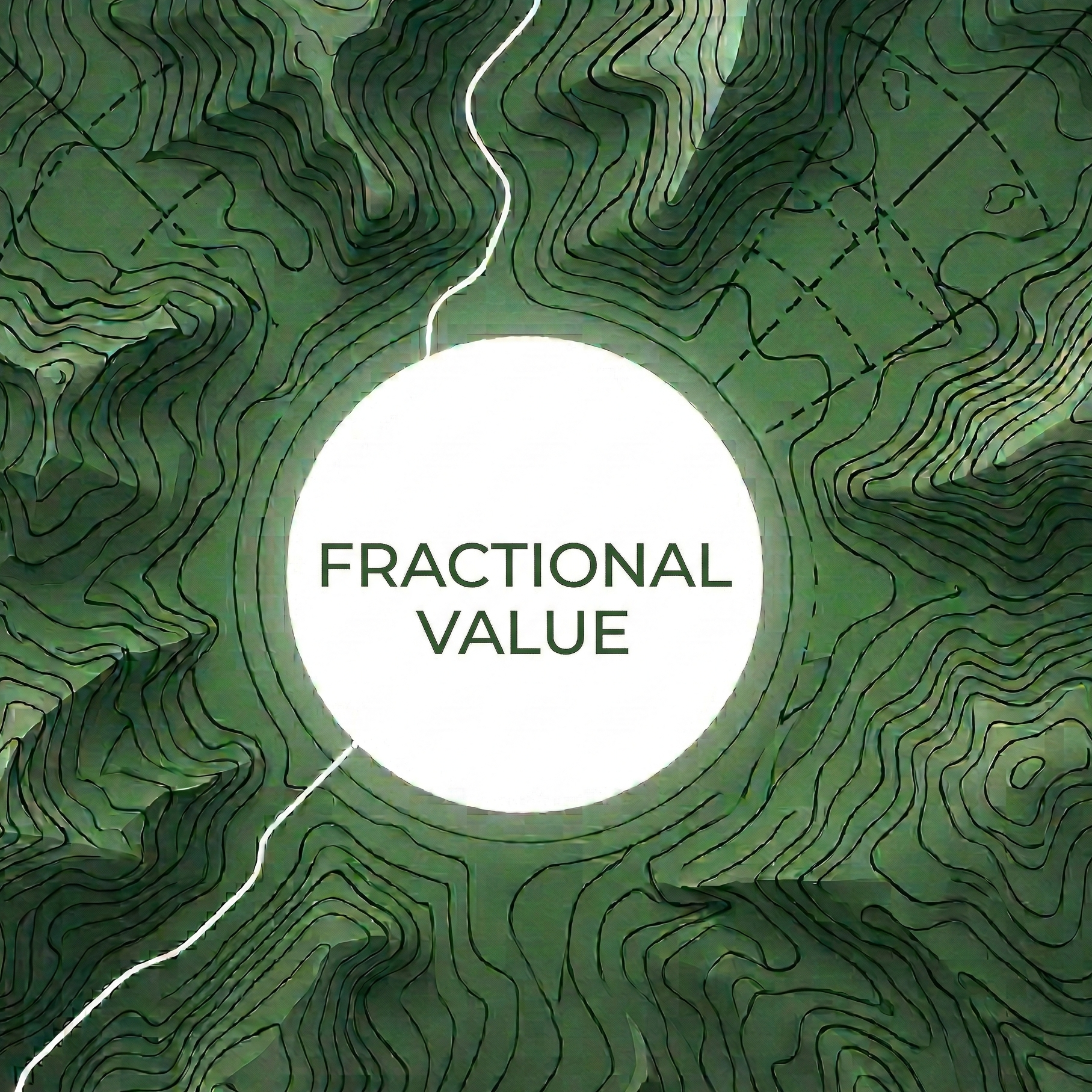 A fractional CMO is a good investment.