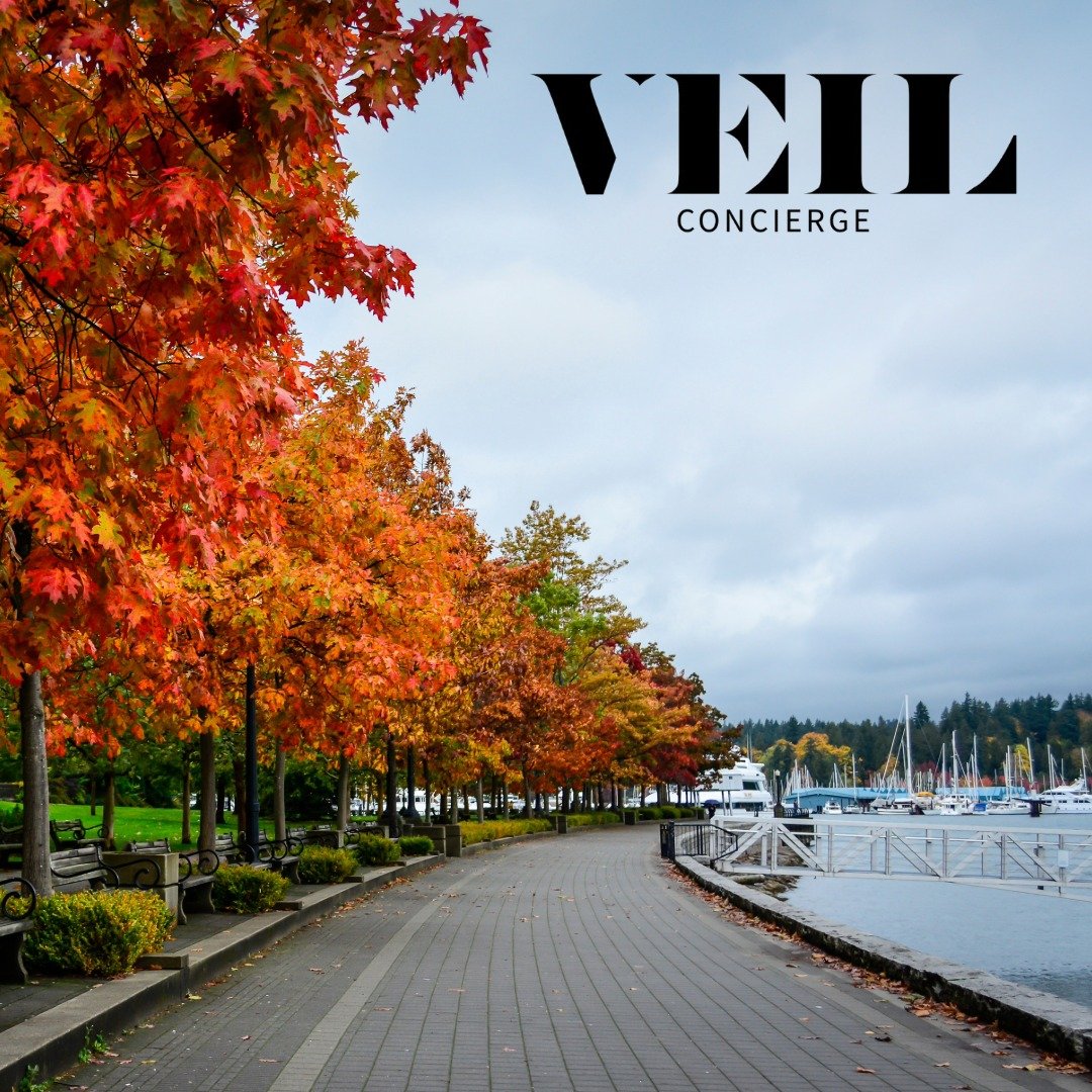 ✨ Veil Concierge is more than a luxury booking service—we’re your dedicated partner in crafting experiences beyond the ordinary.
From securing exclusive dining, seamless luxury transportation, and complete event planning, Veil Concierge