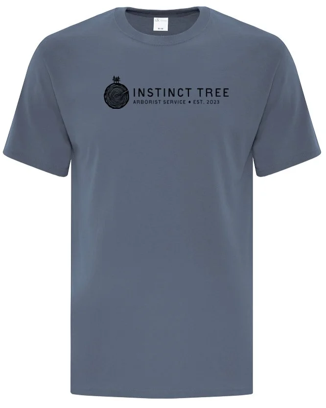 blue-tshirt.jpg