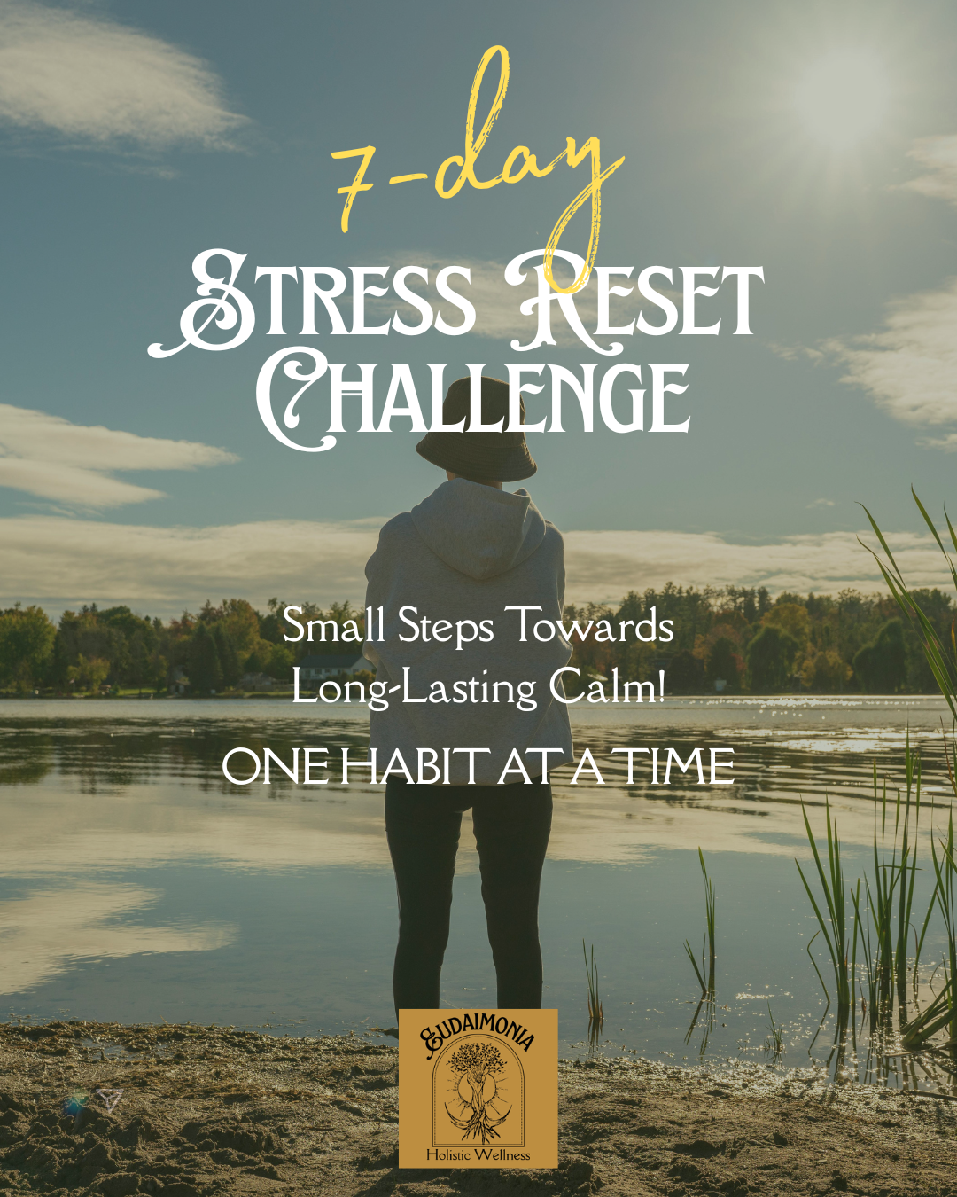 EHW 7 Day Stress Reset Challenge.png