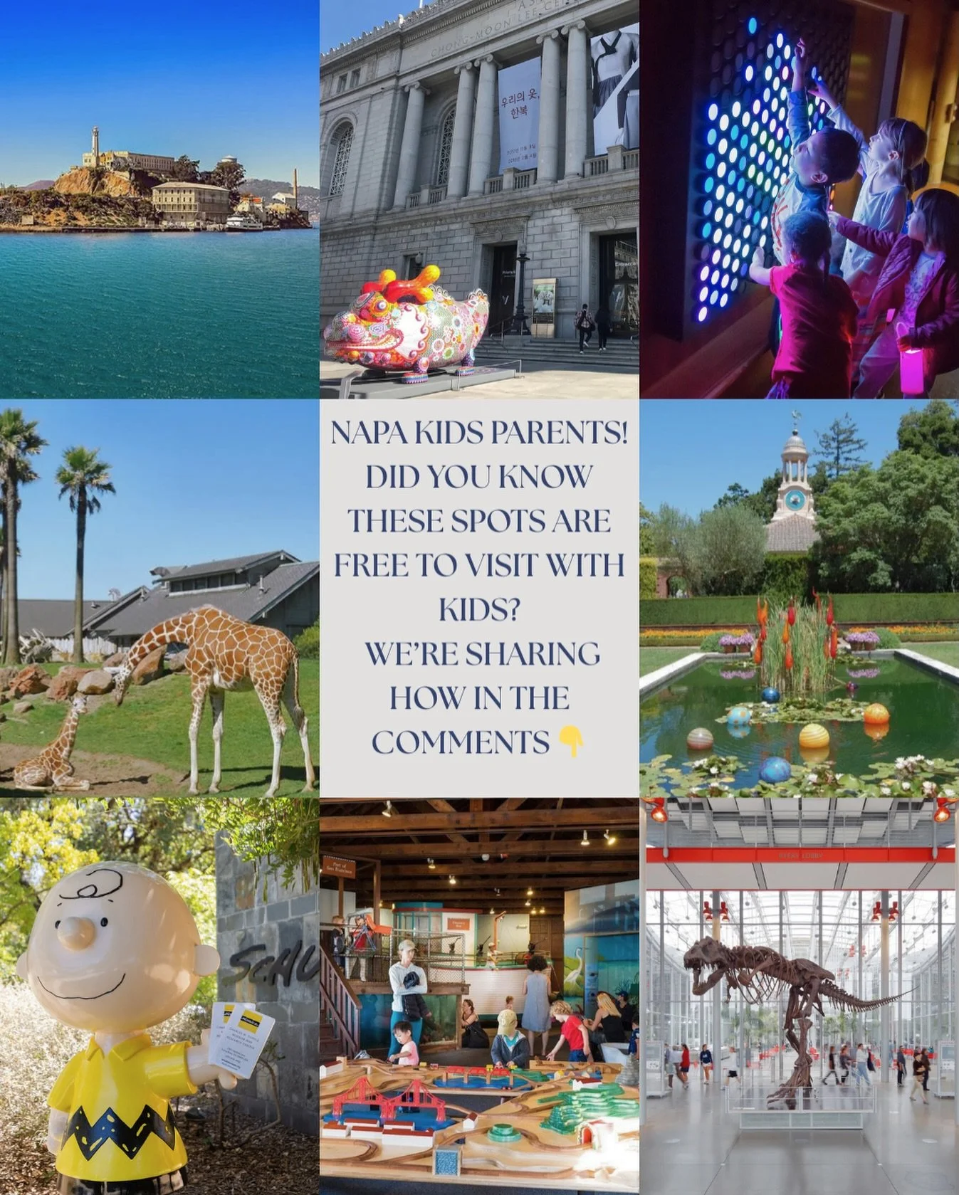 Hi Napa Kids Families! 👋

We hope you&rsquo;re loving the content we&rsquo;re sharing with our community. As 2026 gets underway, we&rsquo;re kicking things off with one of our favorite insider tips for family fun around the Bay Area.

✨ Did you know