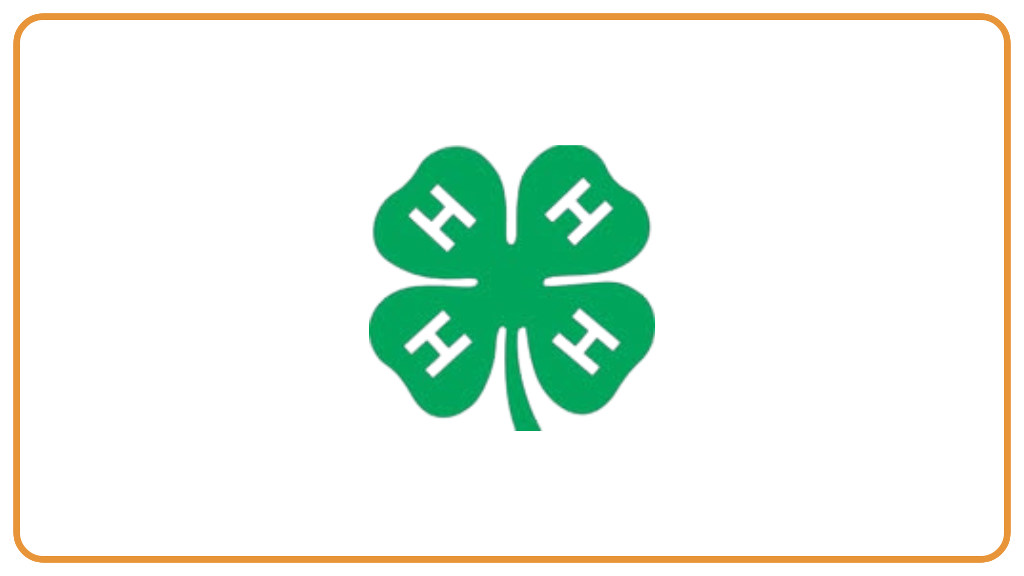 4-H Summer Camp