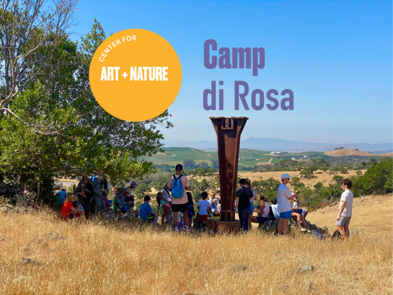 Camp di Rosa: Art + Nature Summer Offerings: Camp, Camp + Leader in Training Program