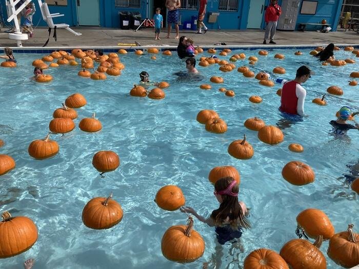 Pumpkin Patch & Splash (All Ages)