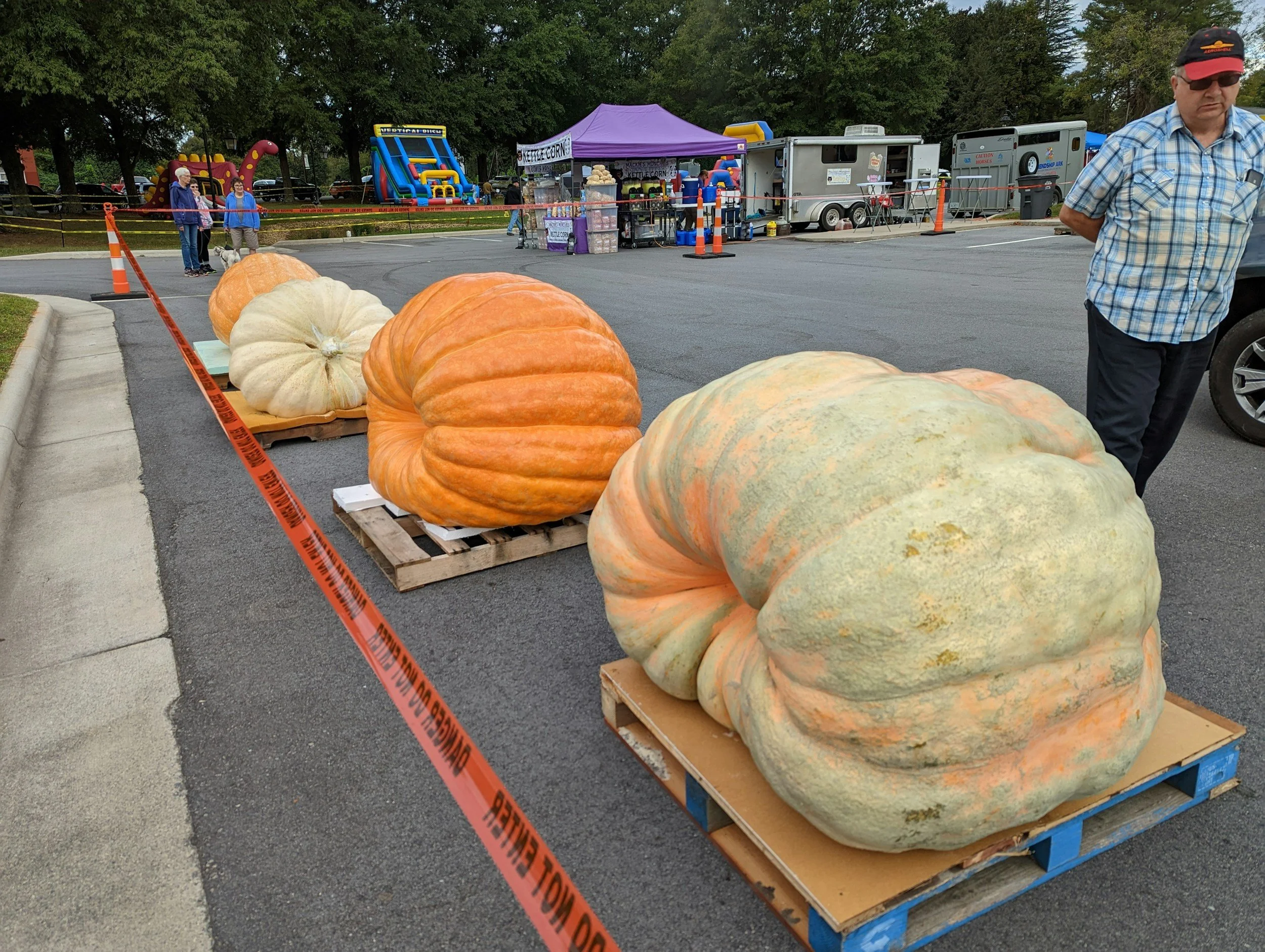 St. Helena Hometown Harvest Festival (All Ages)