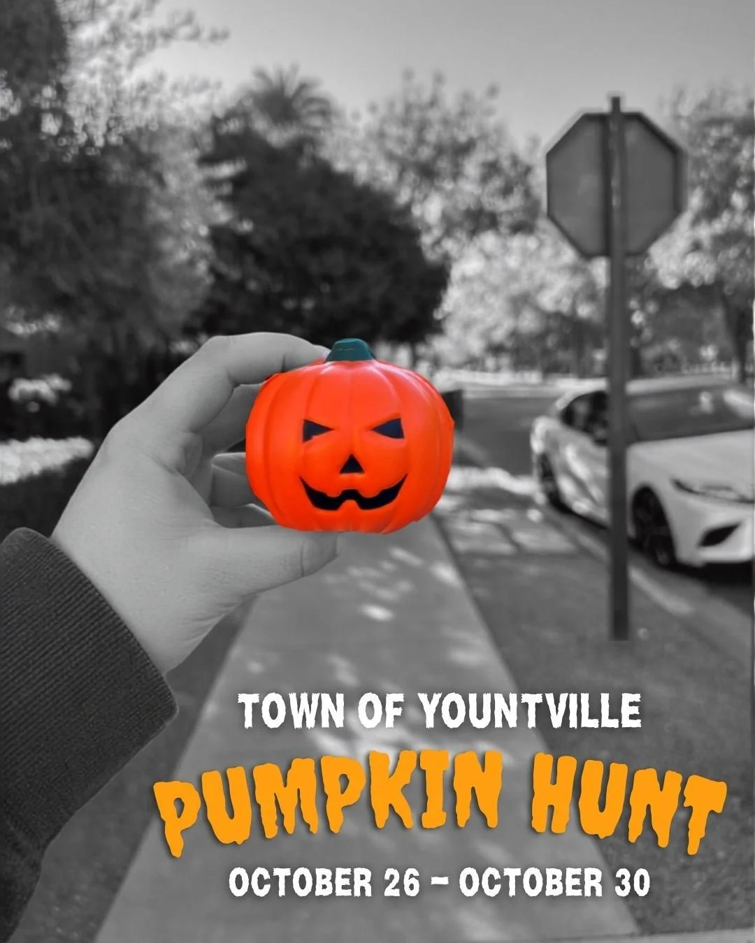 Town of Yountville, Pumpkin Hunt (All Age)